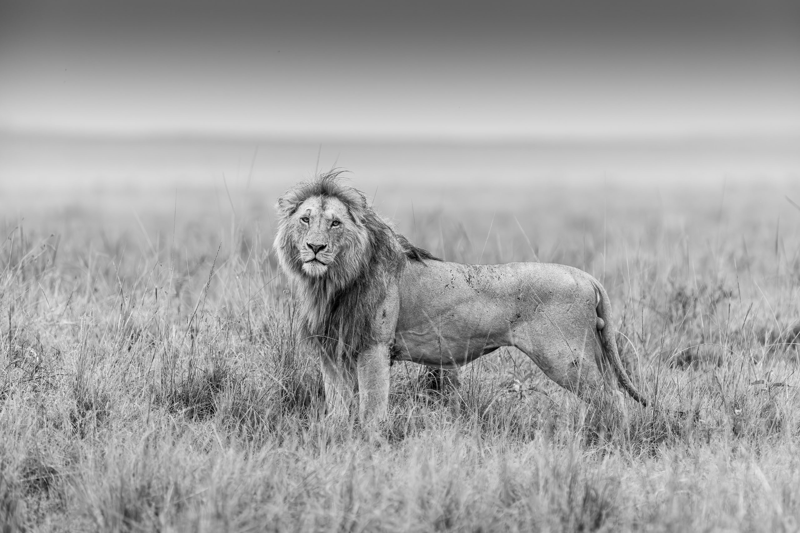 07204905012026005 ©SimonePaleari