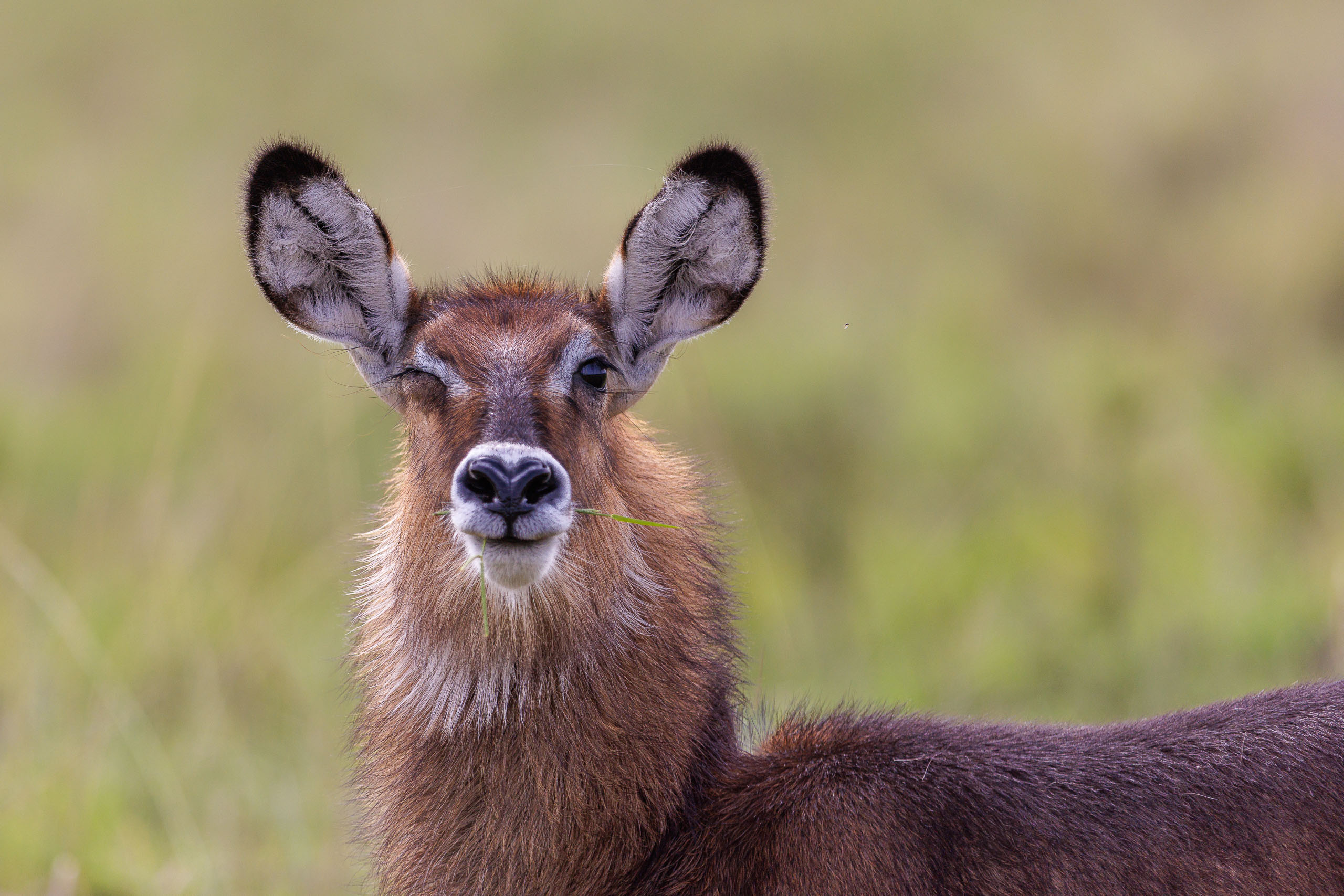 09093704012026004 ©SimonePaleari