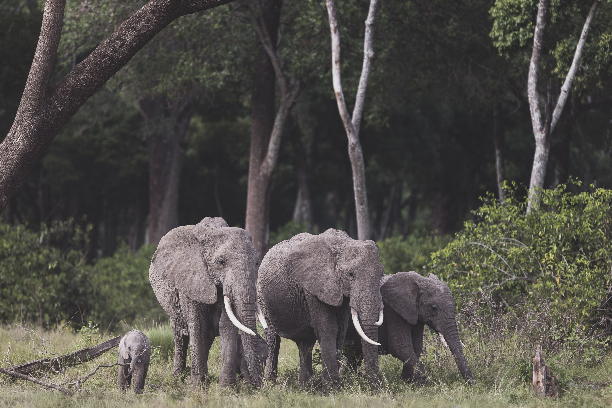 09113304012026004 ©SimonePaleari