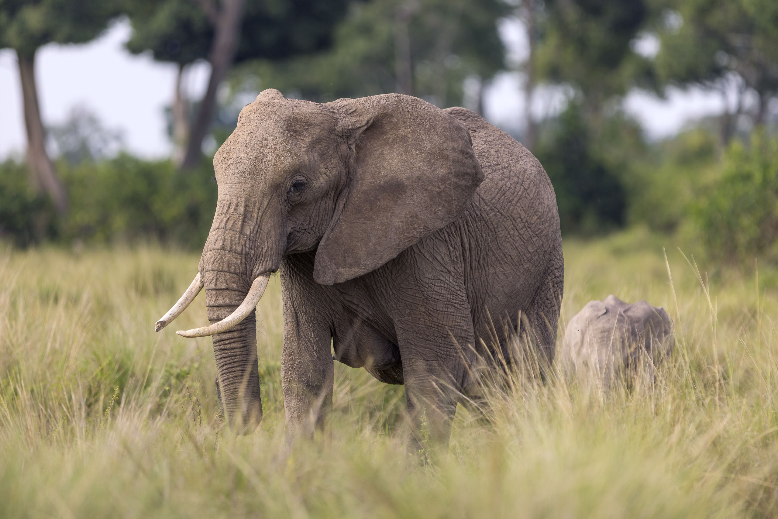 09204004012026004 ©SimonePaleari