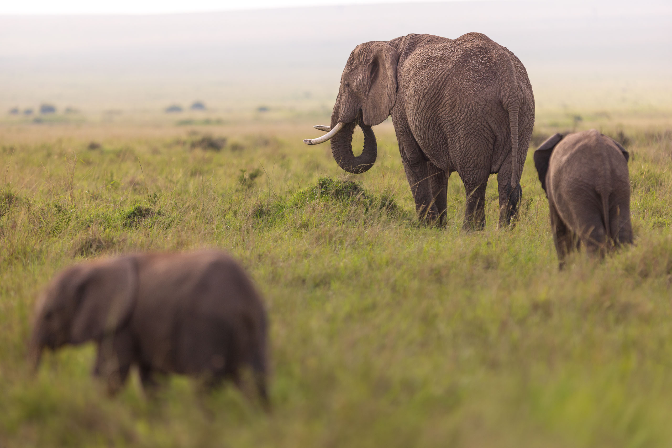 09351504012026004 2©SimonePaleari