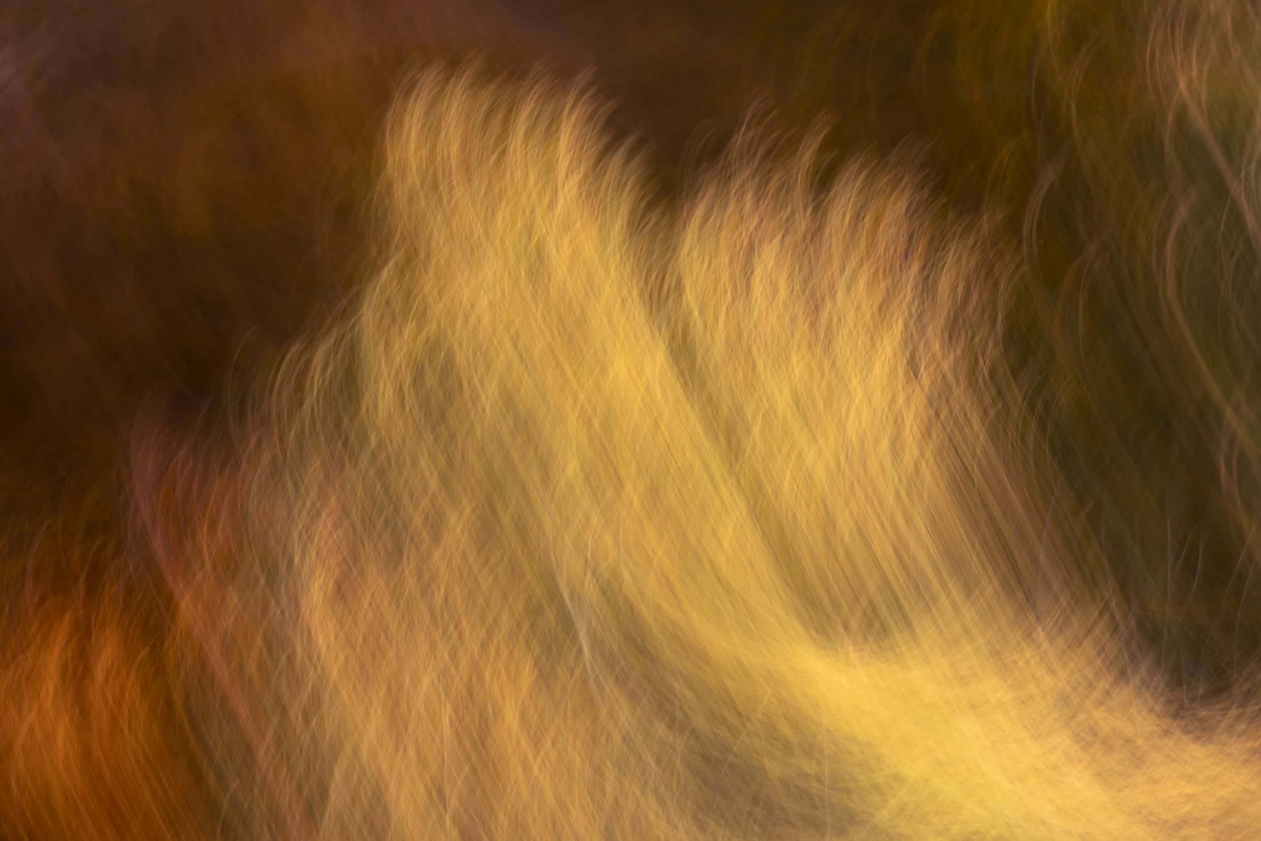09021630102026303 ©SimonePaleari