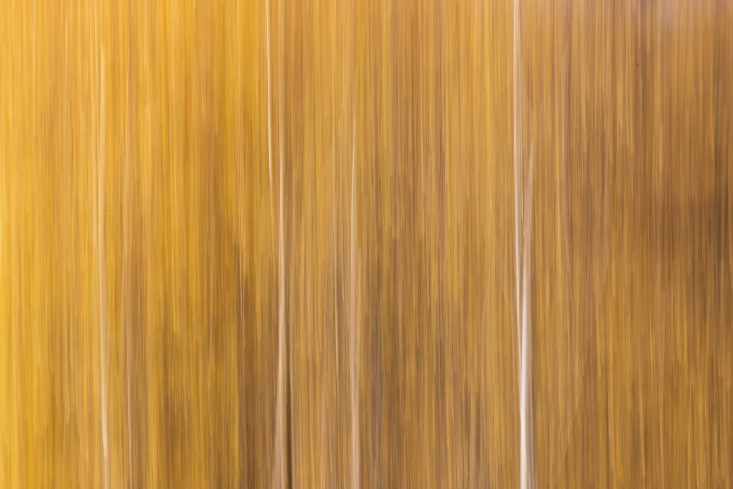 11075630102026303 ©SimonePaleari
