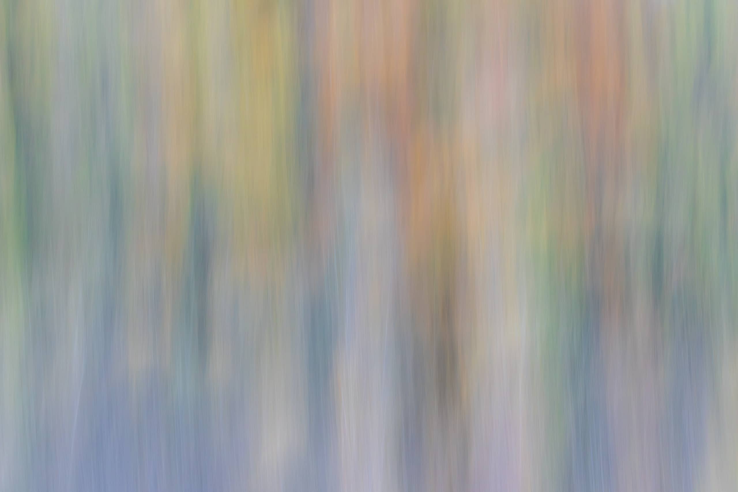 17324027102026300 ©SimonePaleari