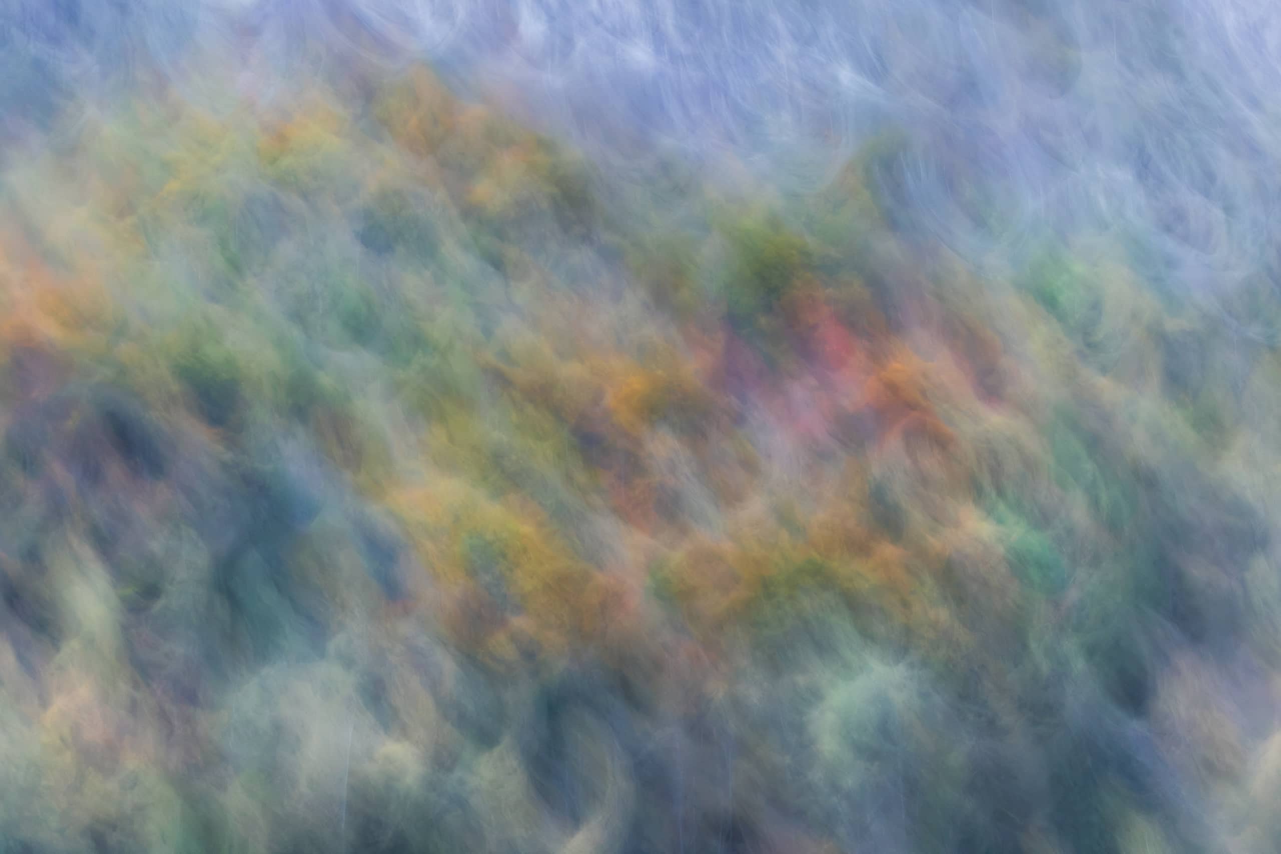 17351727102026300 ©SimonePaleari