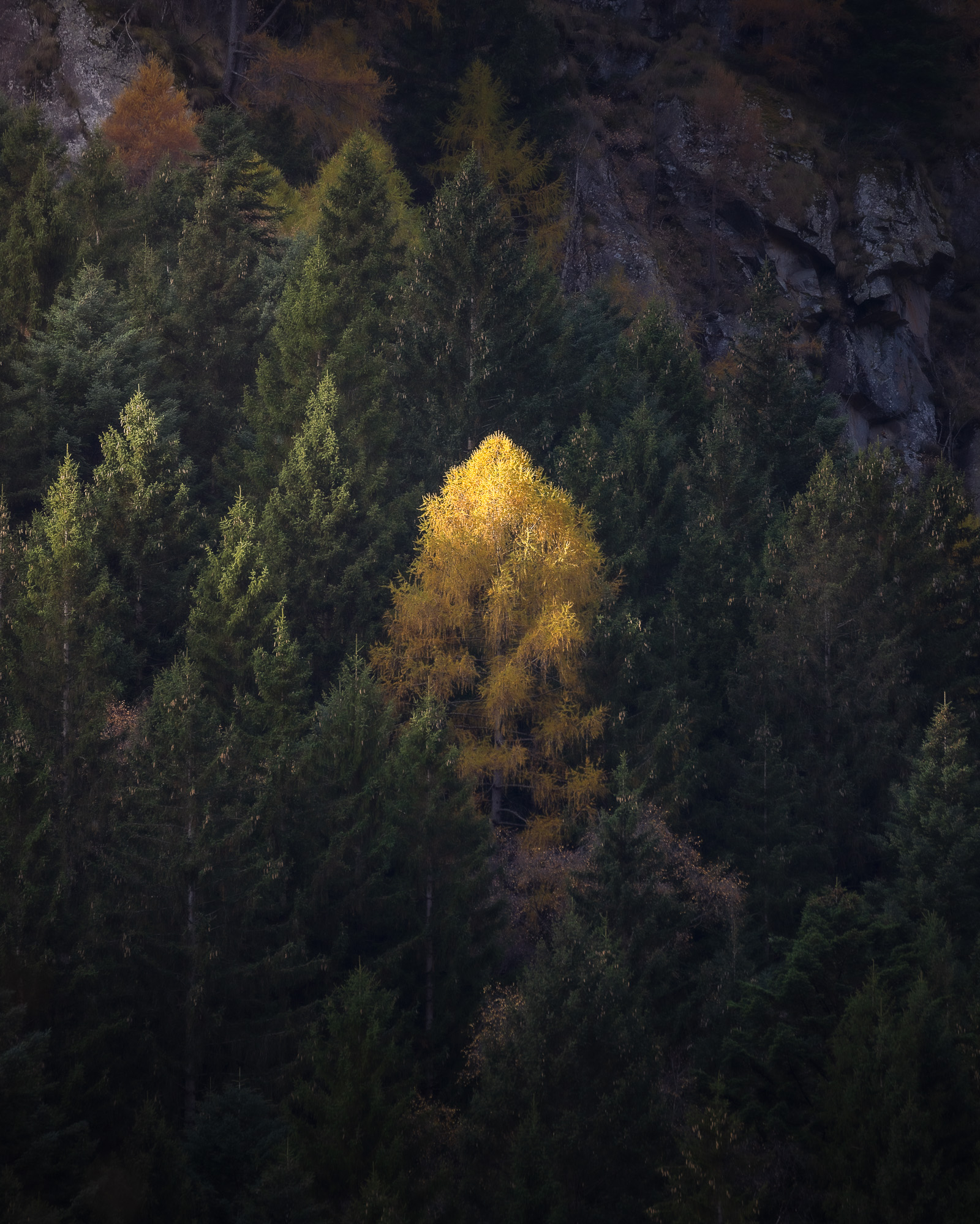 09254206112024311 ©SimonePaleari