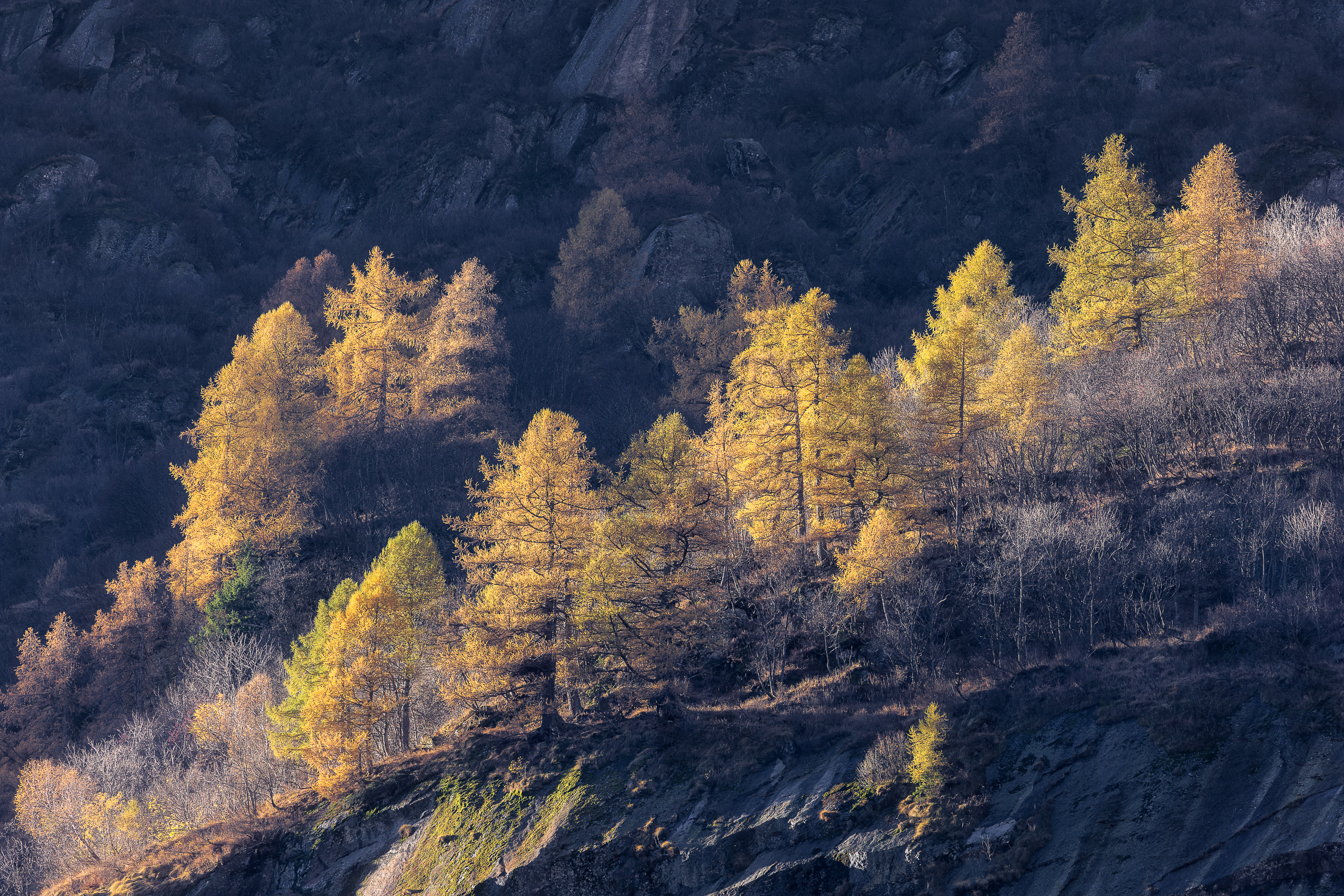 10050727102022300 ©SimonePaleari