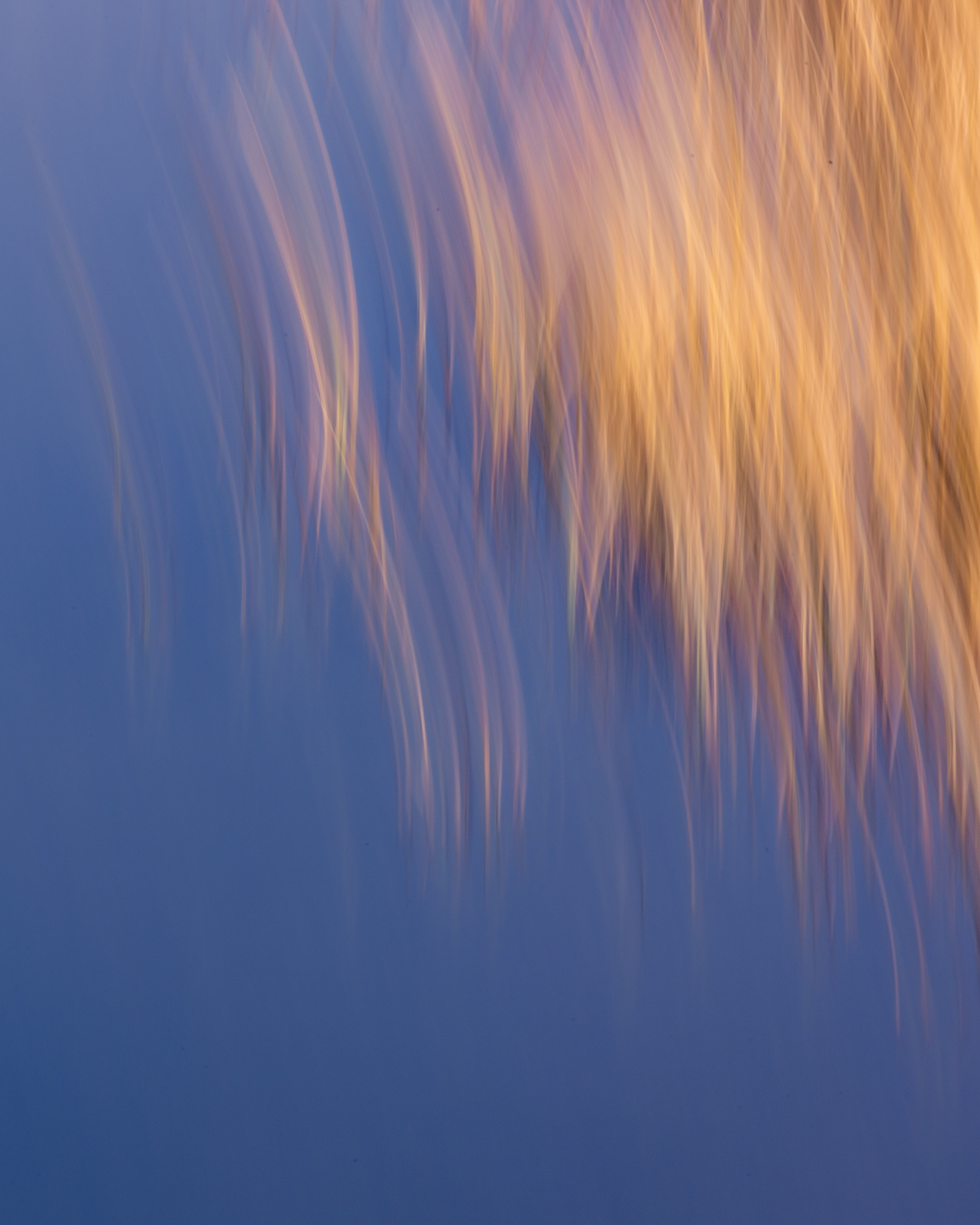 10543108112024313 ©SimonePaleari