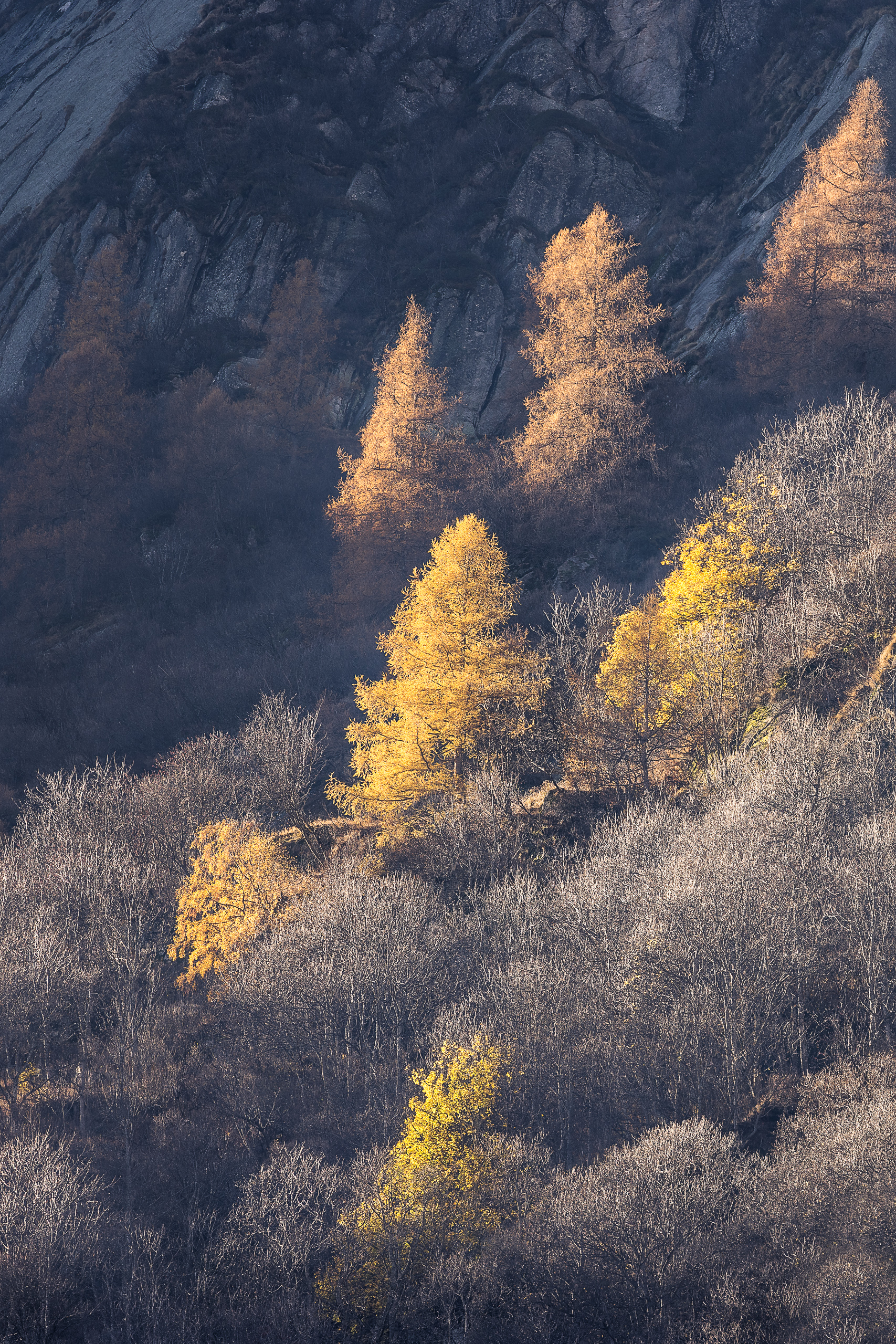 11053627102022300 ©SimonePaleari