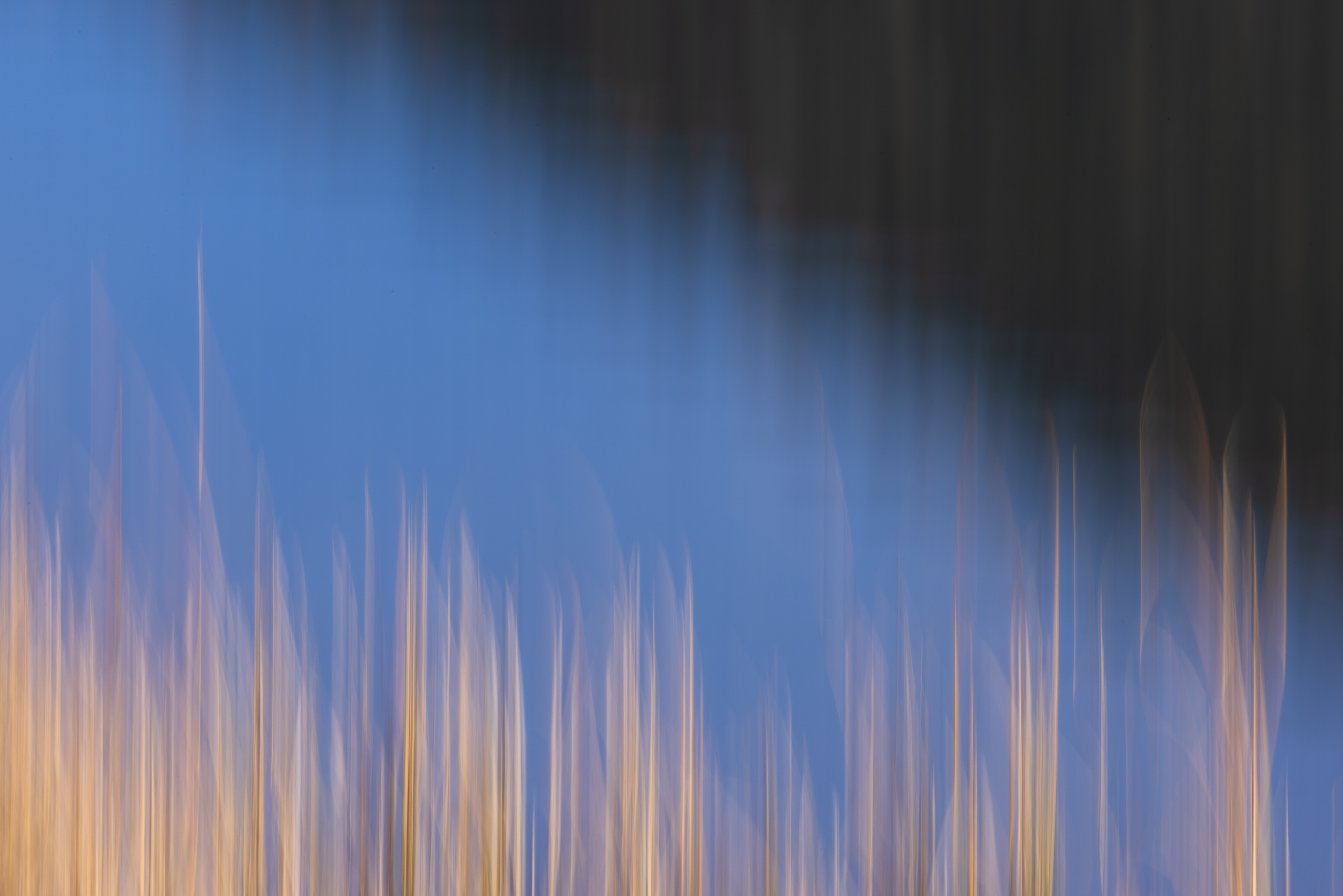 11270008112024313 ©SimonePaleari