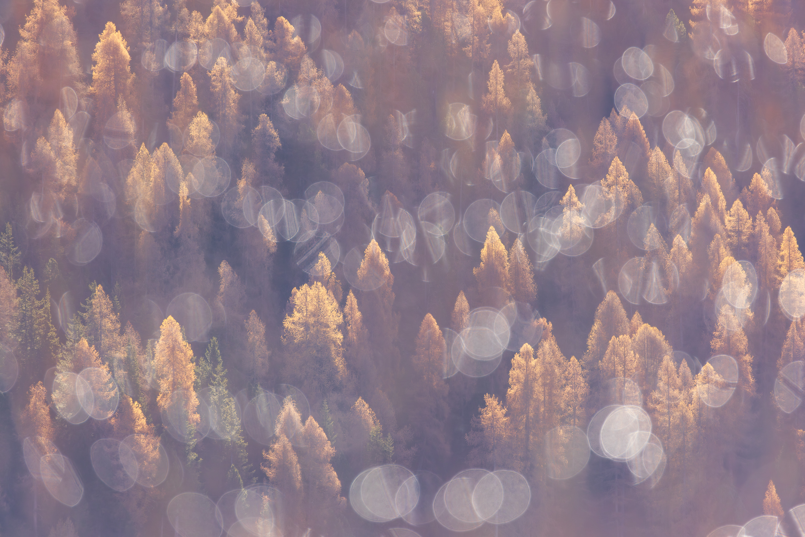 11451608112024313 ©SimonePaleari