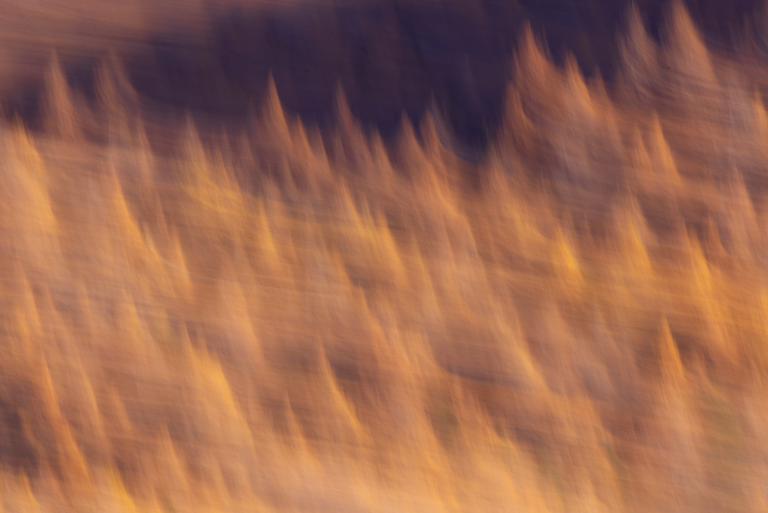 11474429102024303 ©SimonePaleari