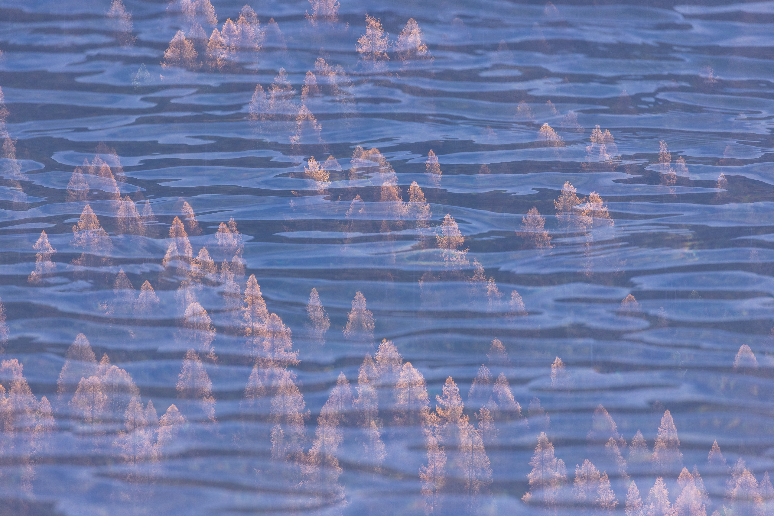 11490208112024313 ©SimonePaleari