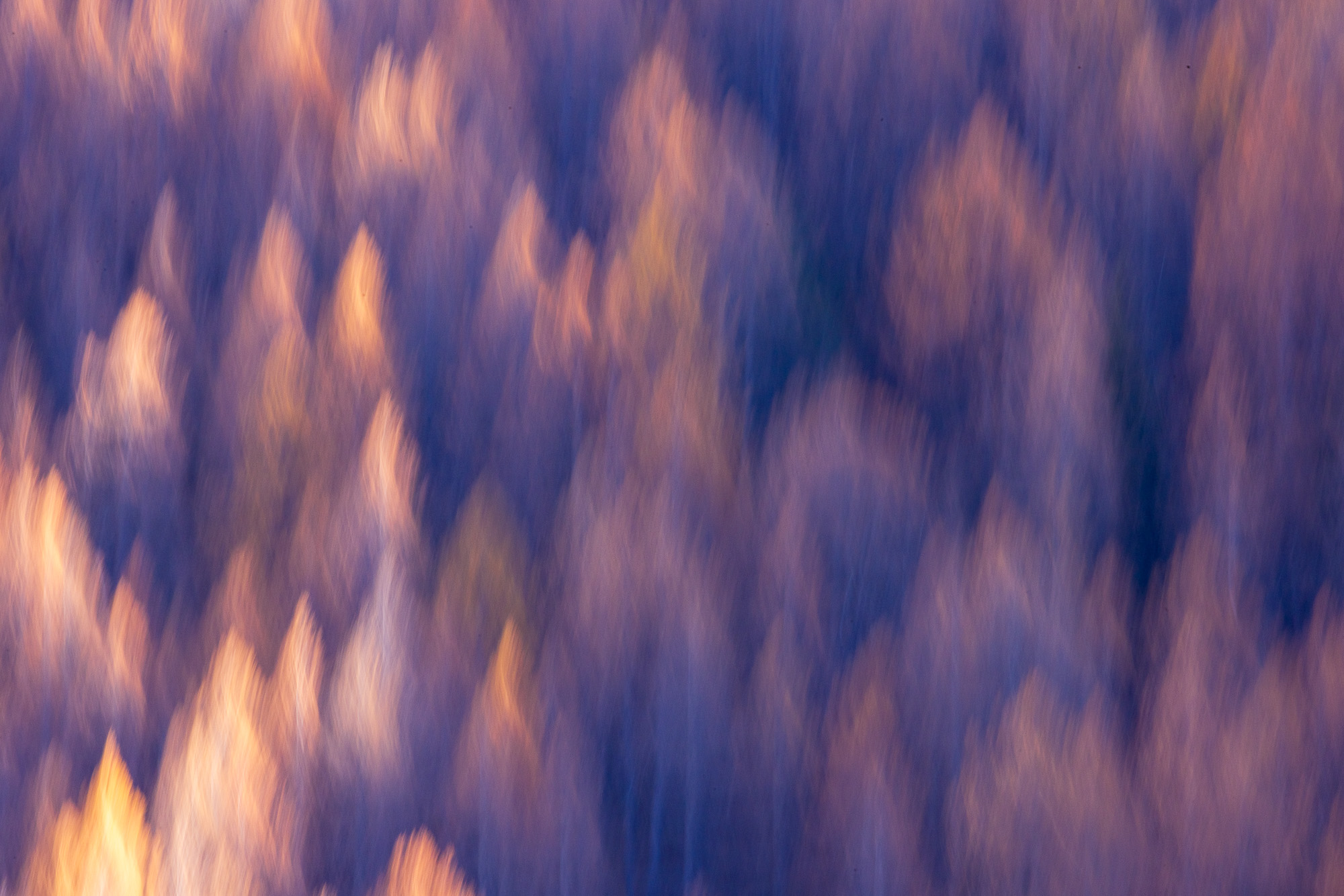 11500529102024303 ©SimonePaleari