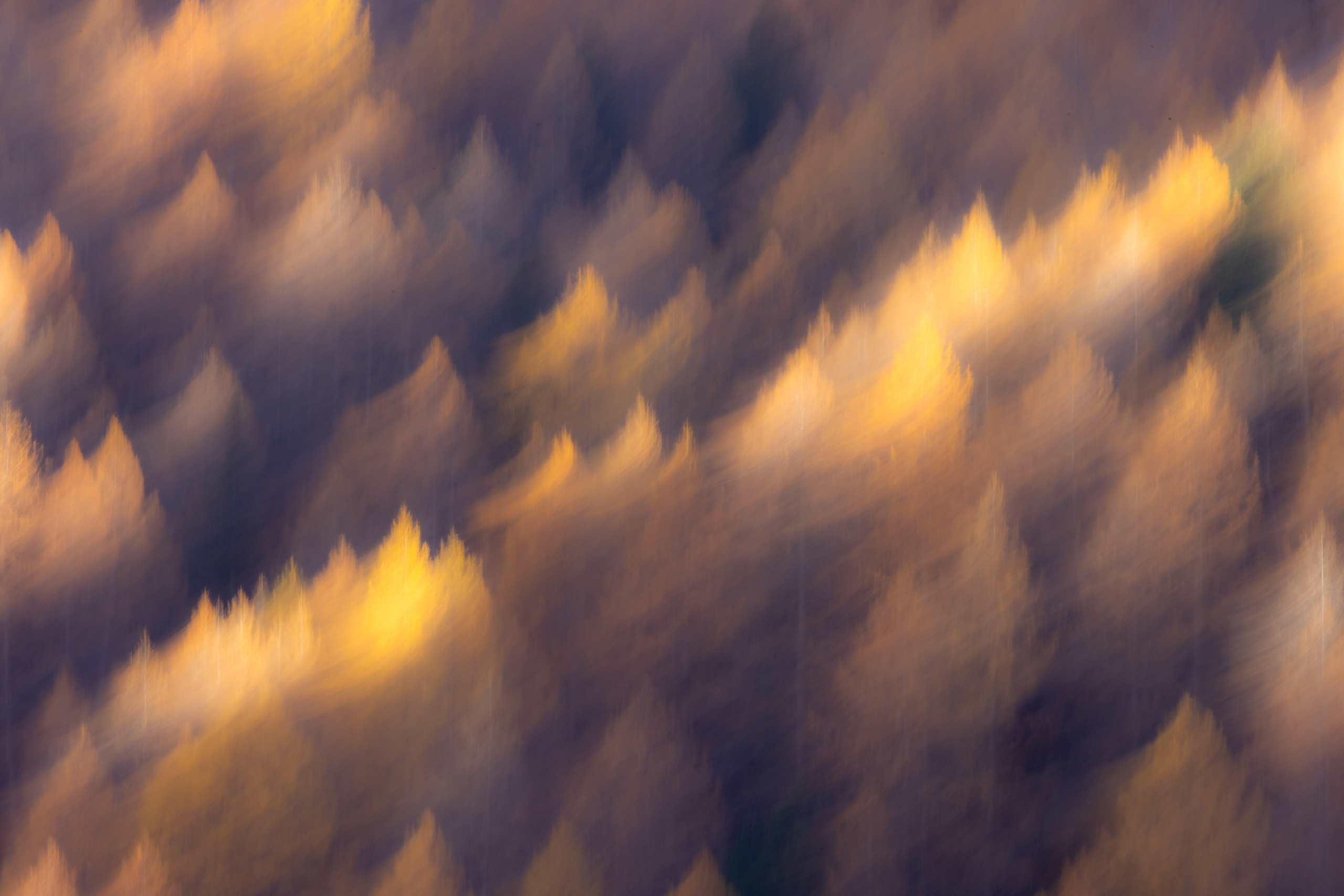 11562629102024303 ©SimonePaleari