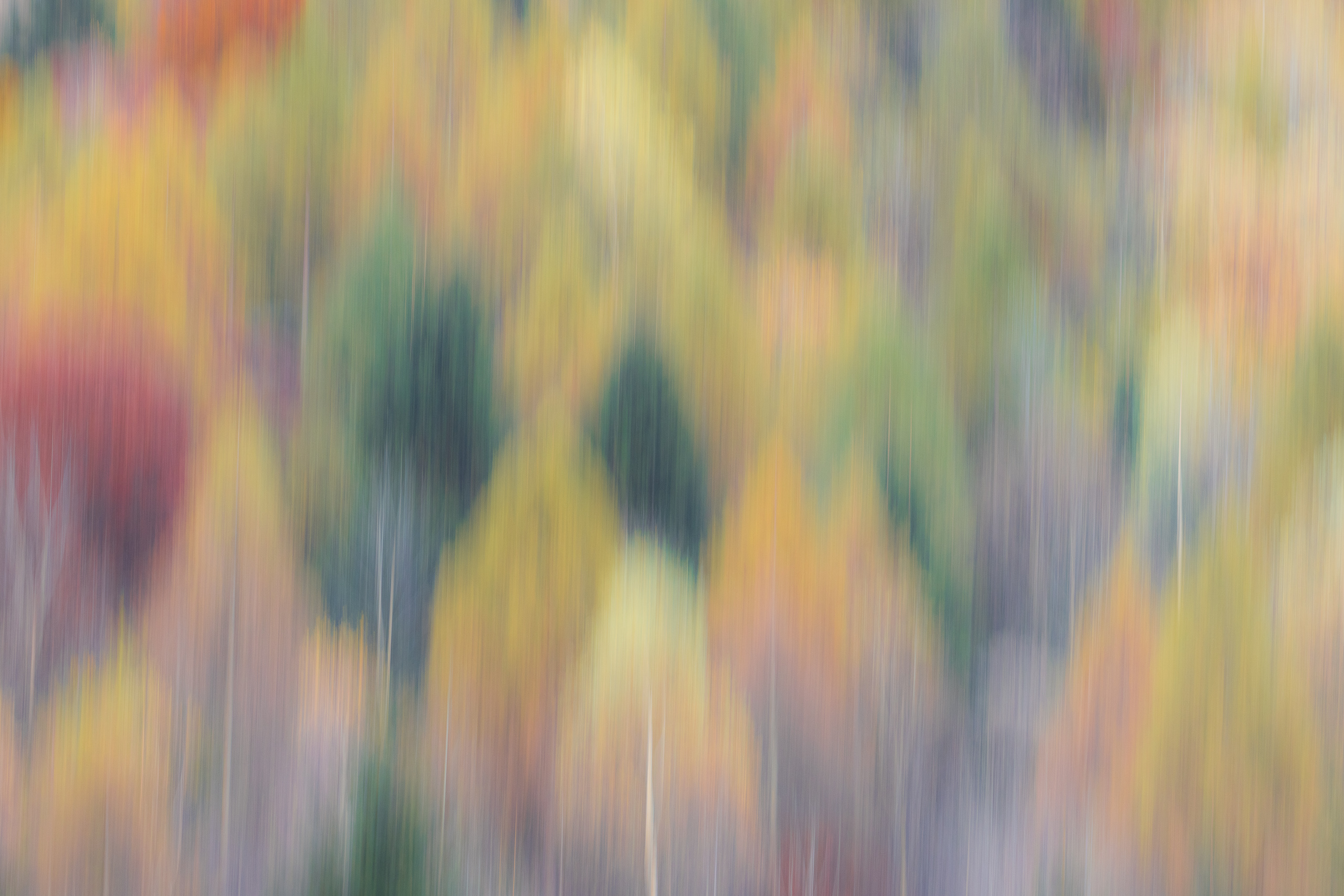 12013230102024304 ©SimonePaleari