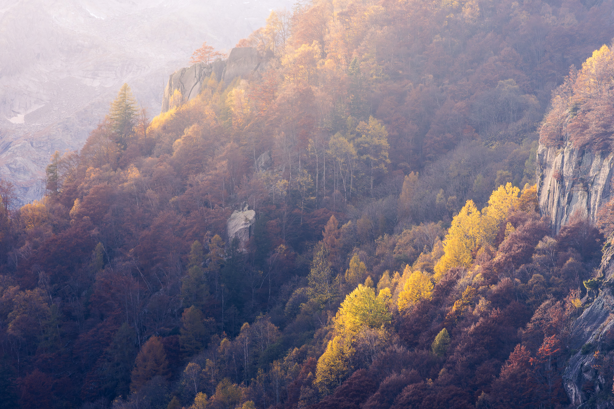 15142206112024311 2©SimonePaleari