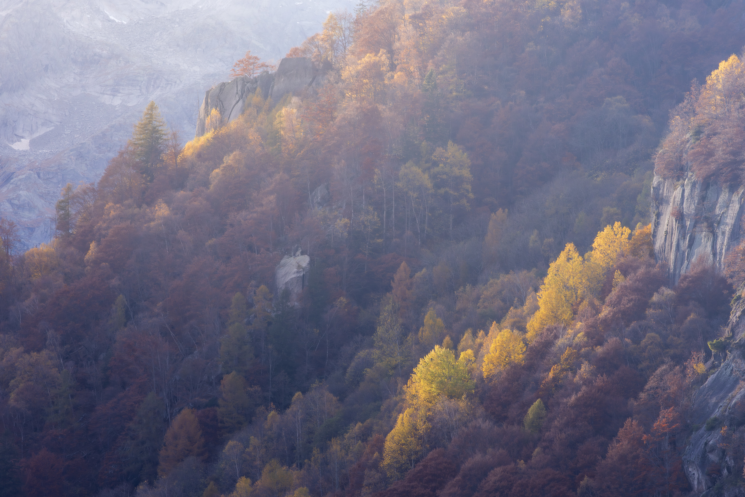 15142206112024311 ©SimonePaleari