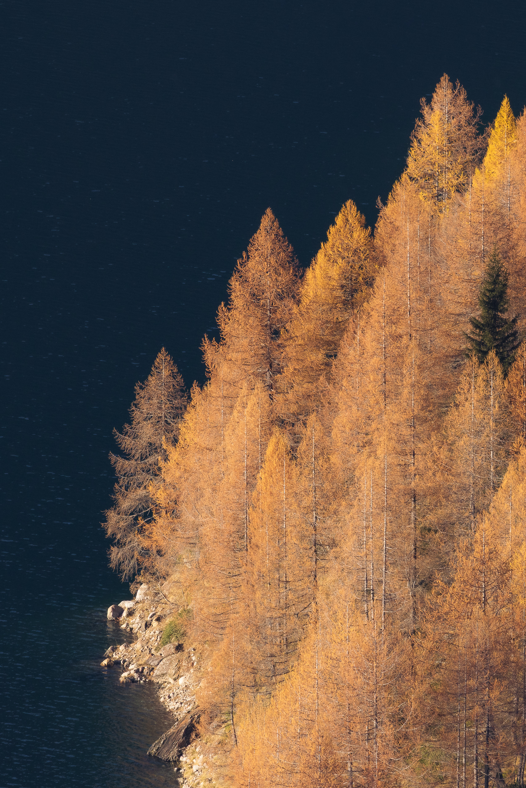 15243110112024315 ©SimonePaleari