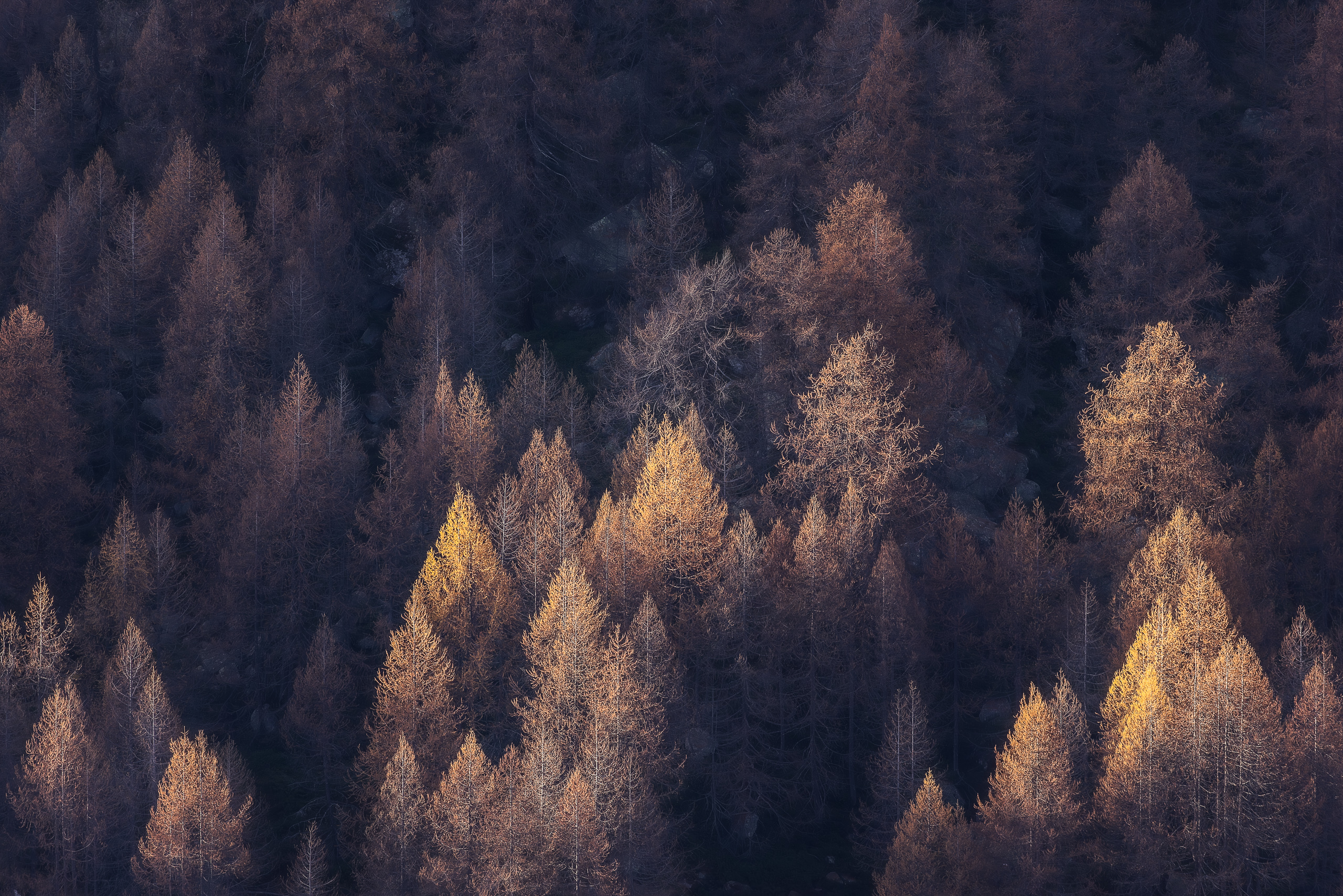 15414910112024315 ©SimonePaleari