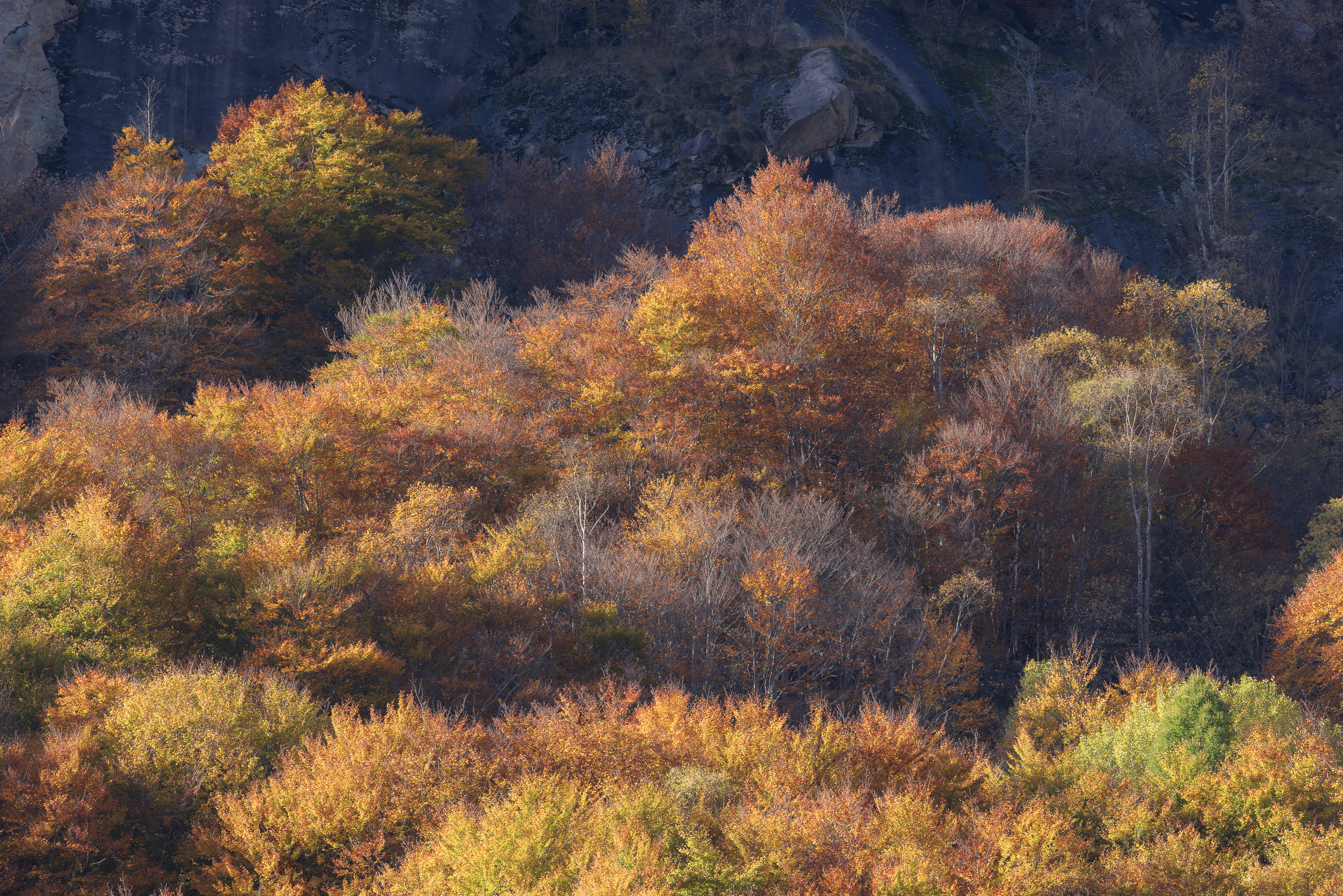 15535725102025298 ©SimonePaleari