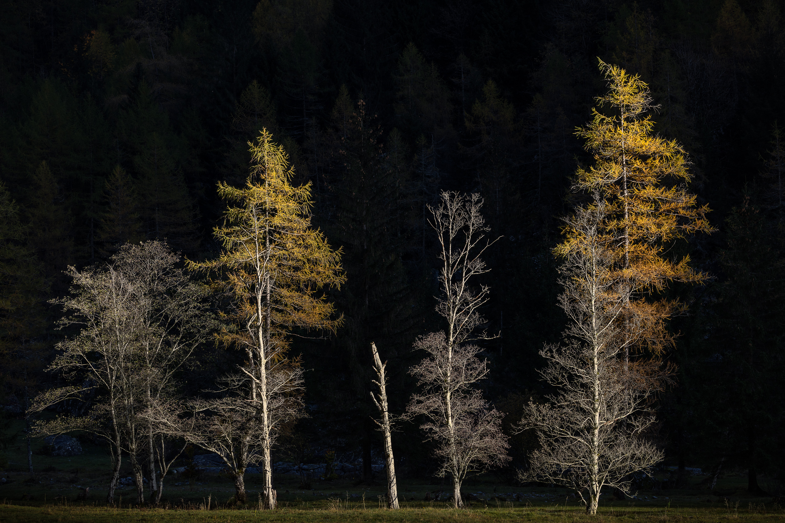 16183027102022300 ©SimonePaleari