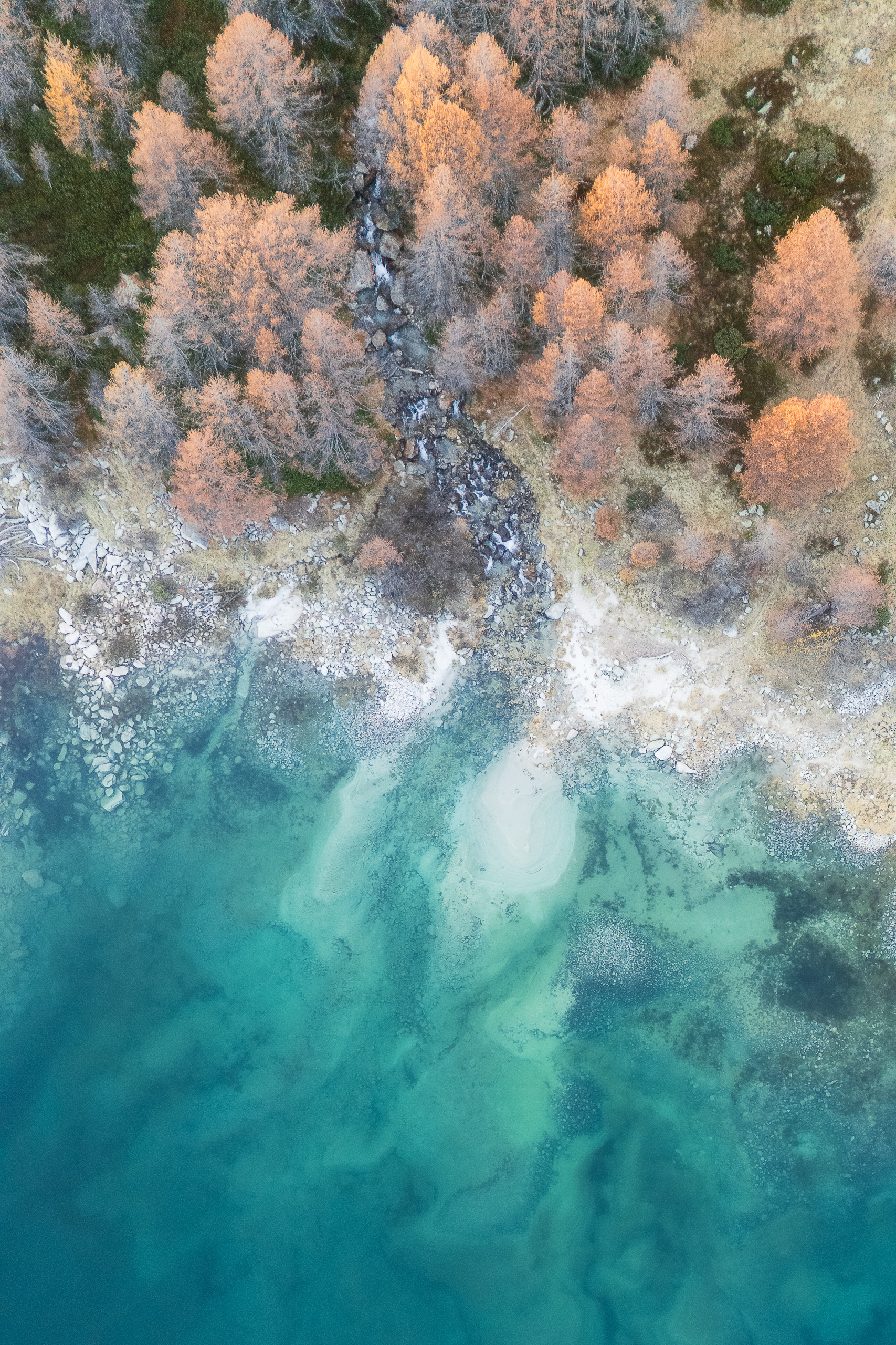 16193510112024315 ©SimonePaleari