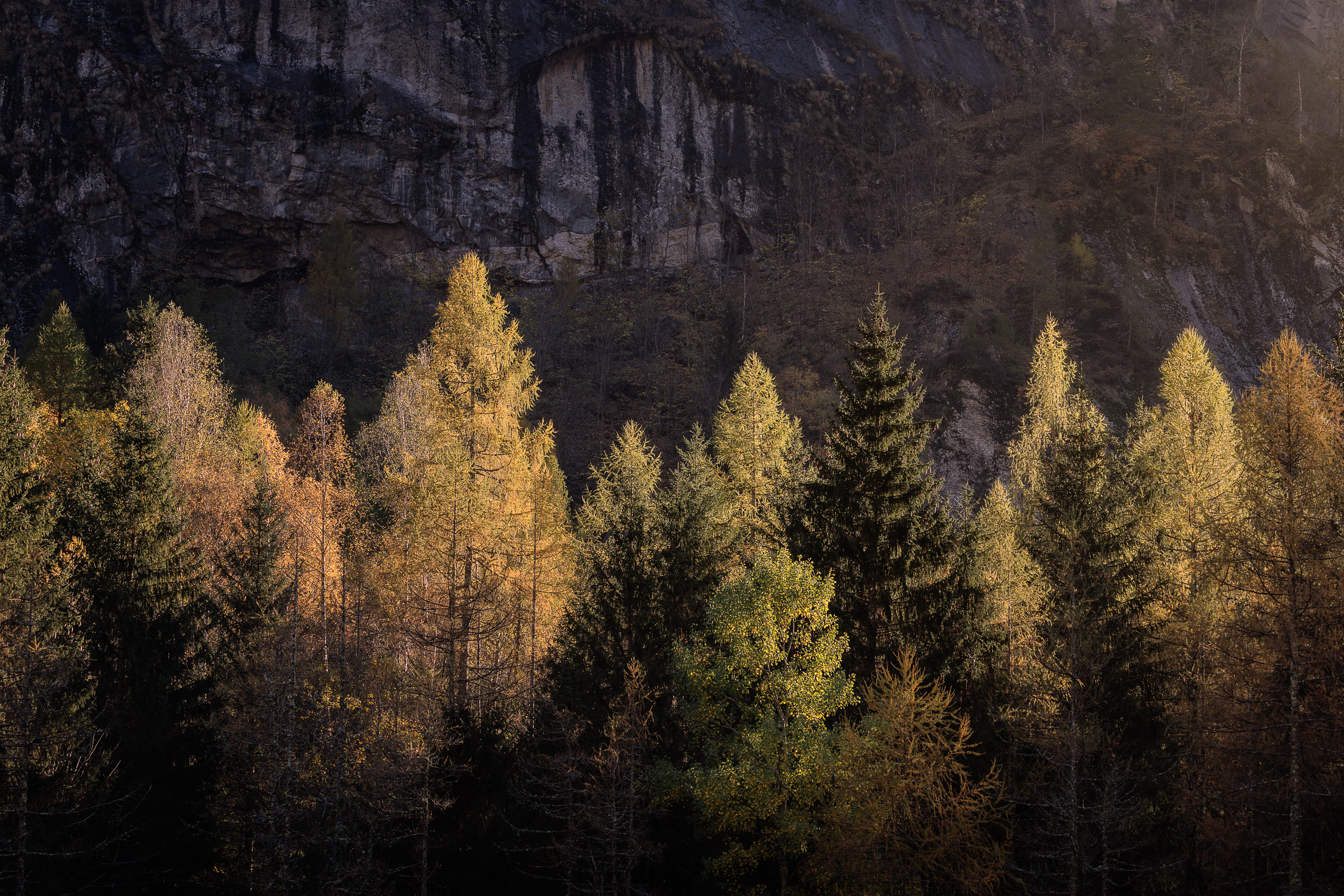 16411127102022300 ©SimonePaleari