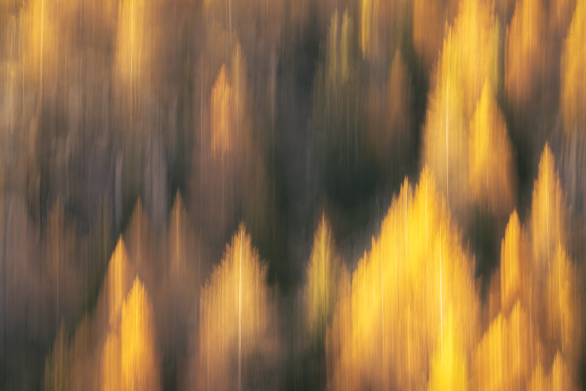 16424929102024303 2©SimonePaleari