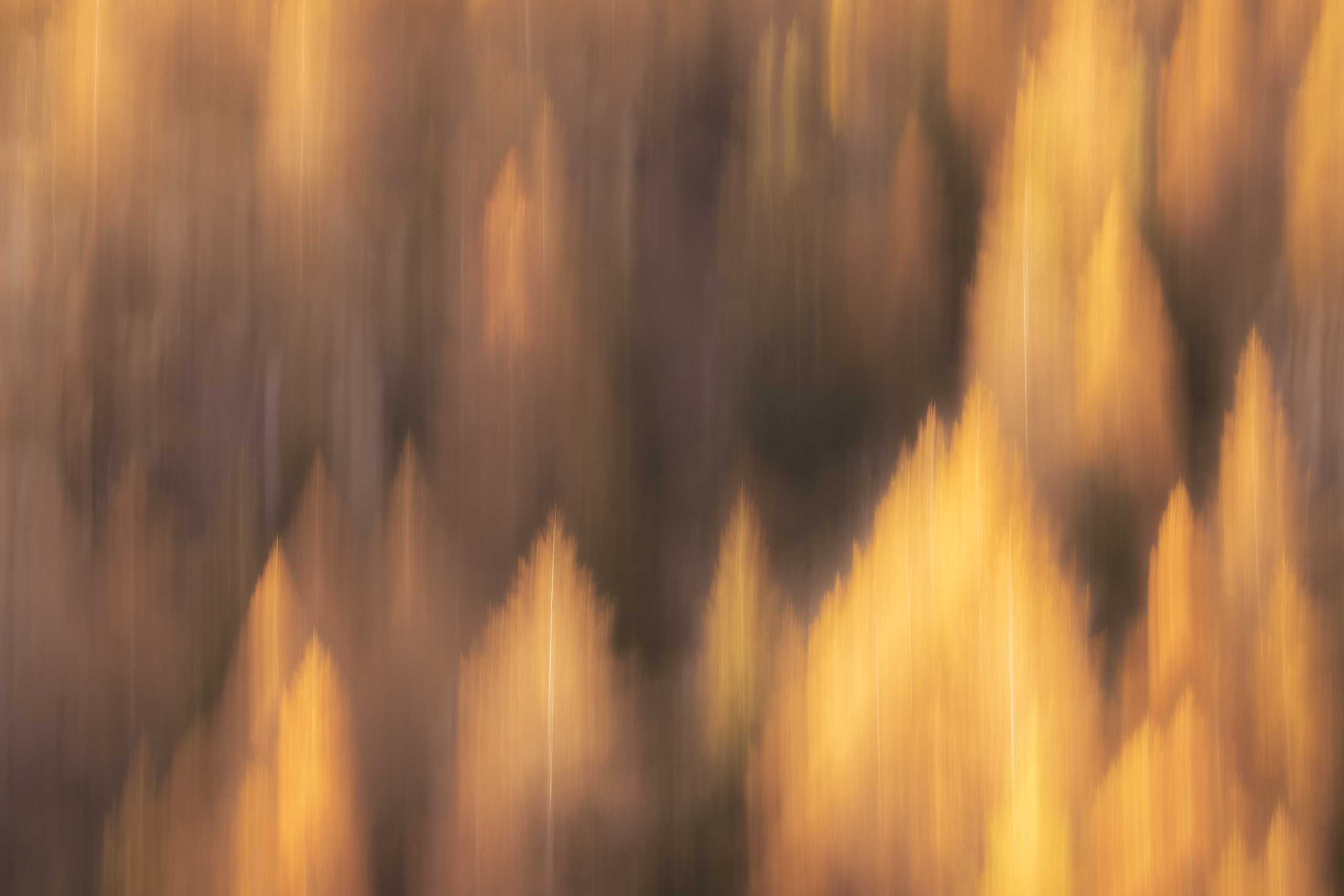 16424929102024303 ©SimonePaleari