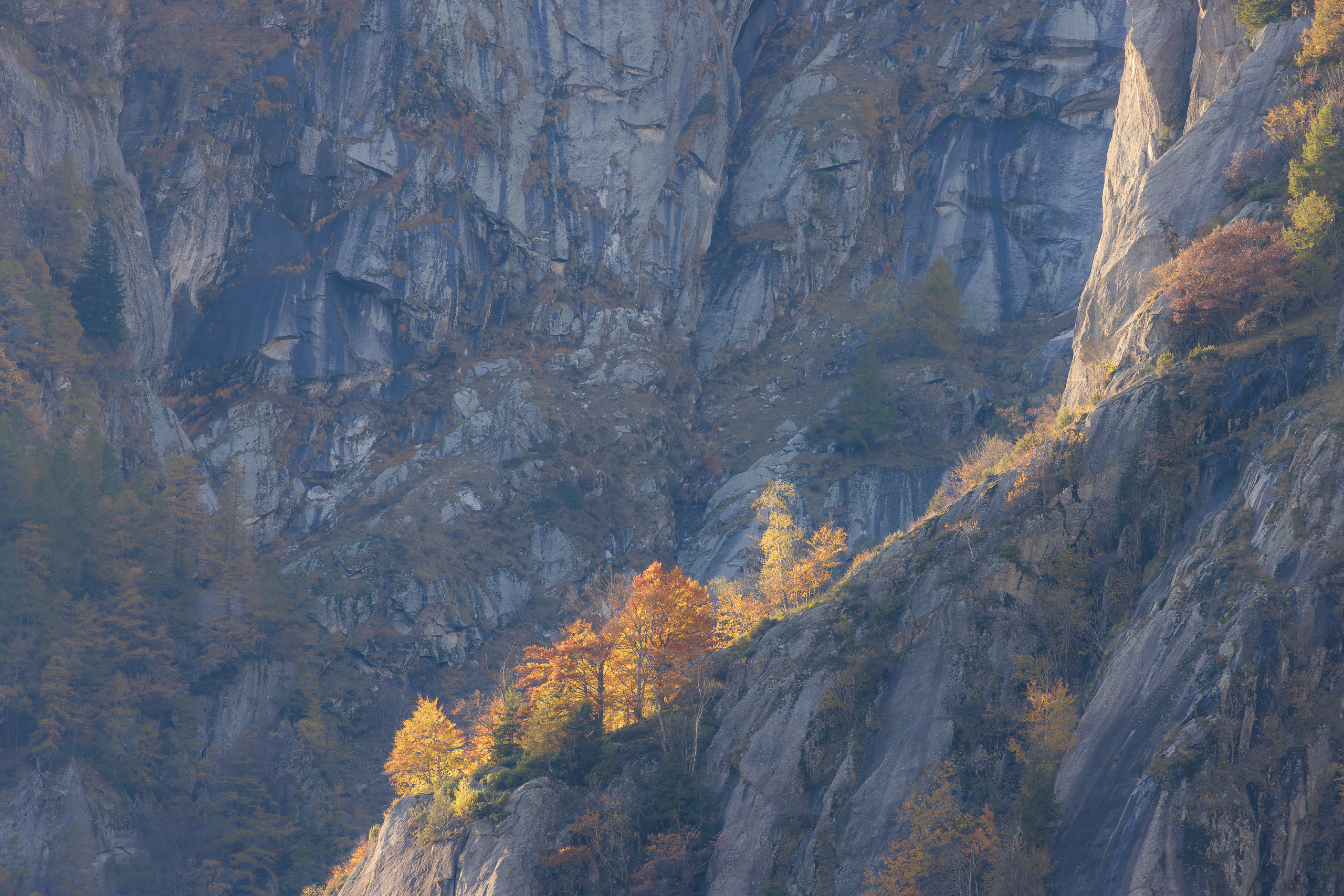 16503225102025298 ©SimonePaleari