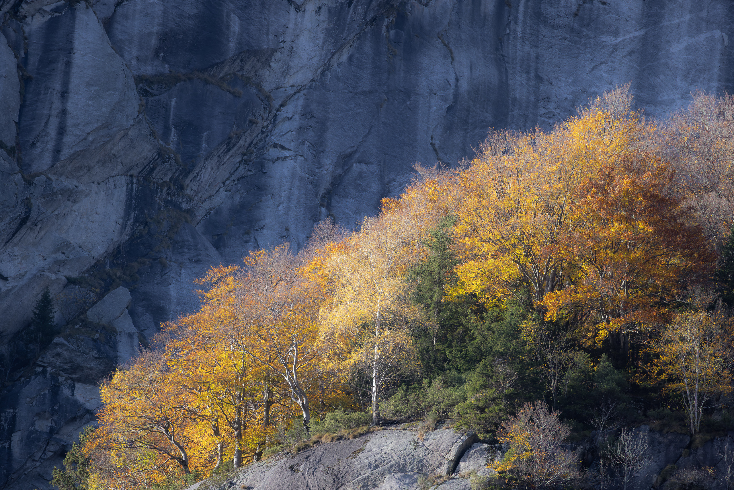 16520225102025298 ©SimonePaleari