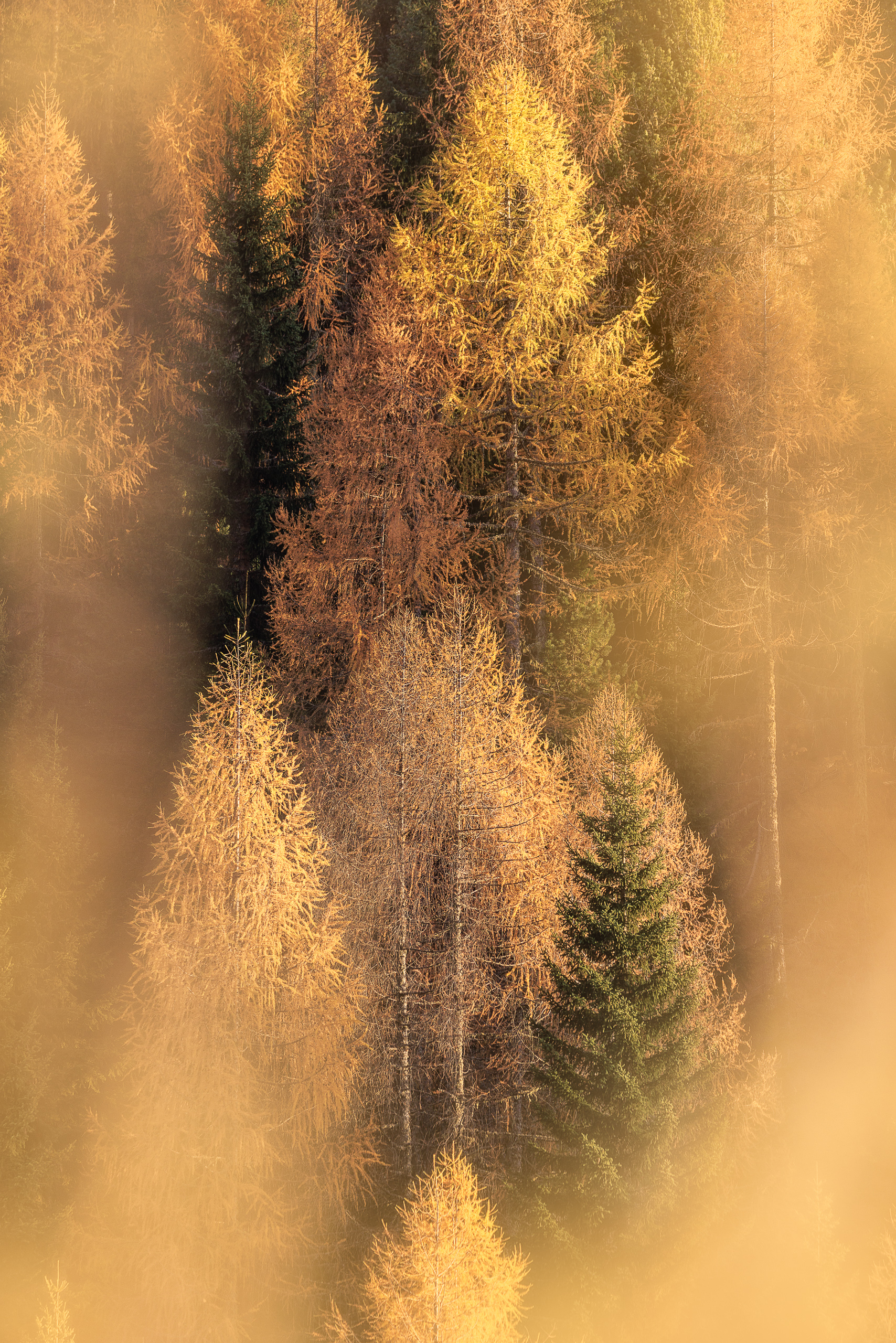 17182230102022303 ©SimonePaleari