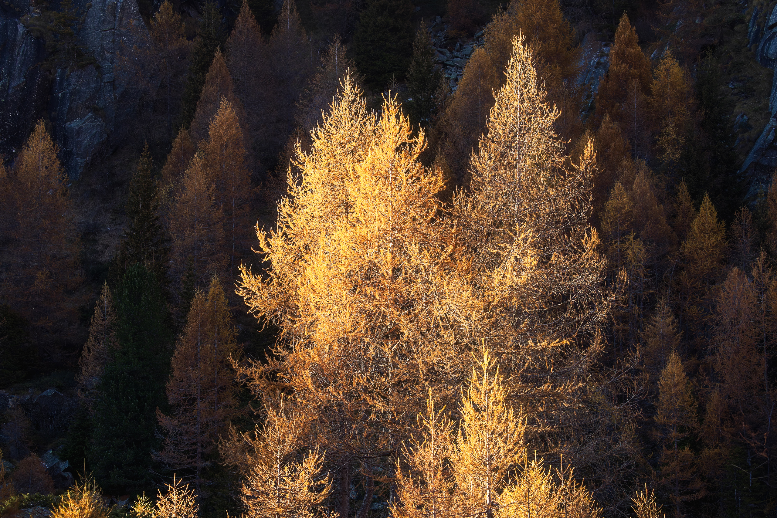 17231230102024304 ©SimonePaleari