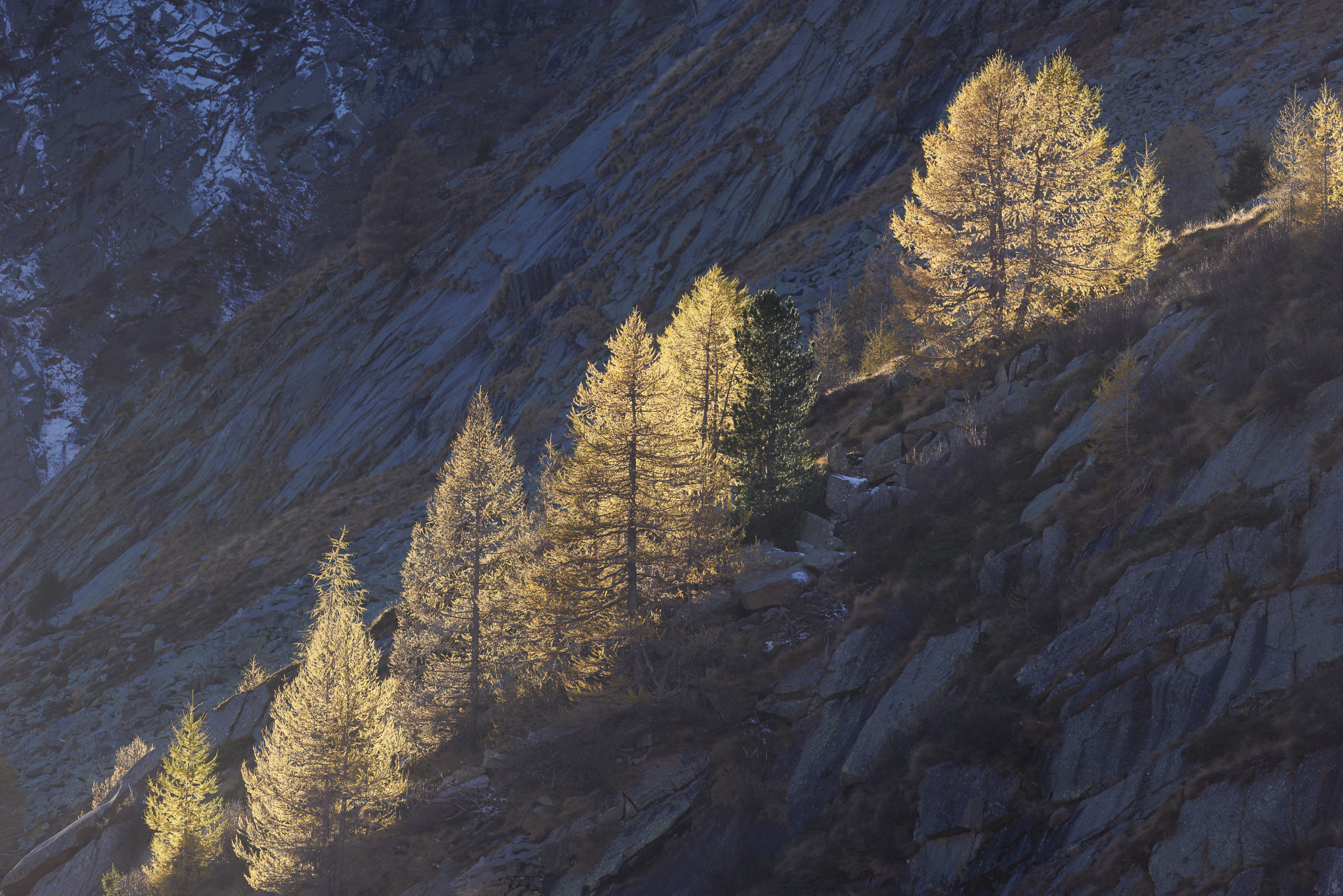 17291126102025299 ©SimonePaleari