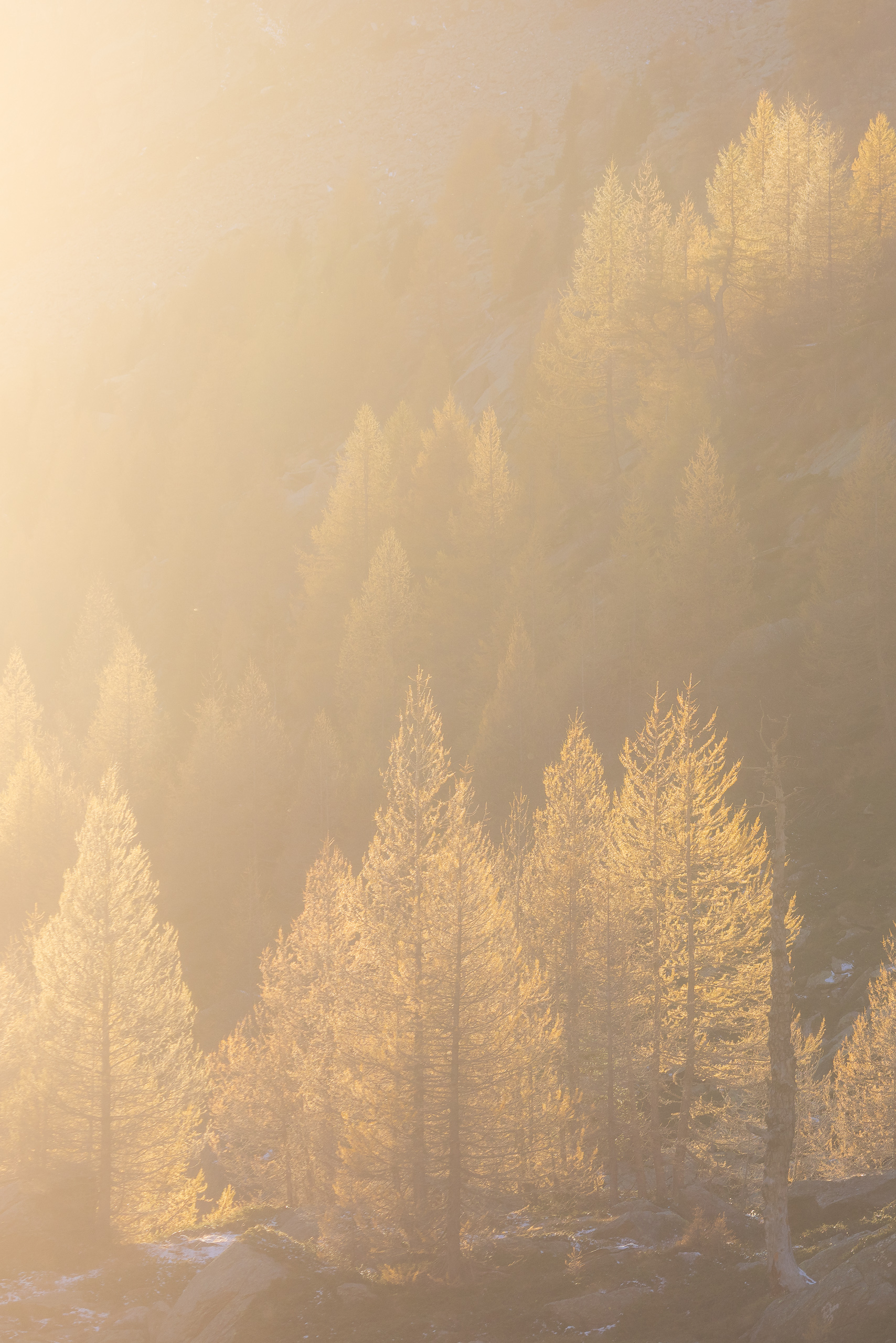 17294426102025299 ©SimonePaleari 2