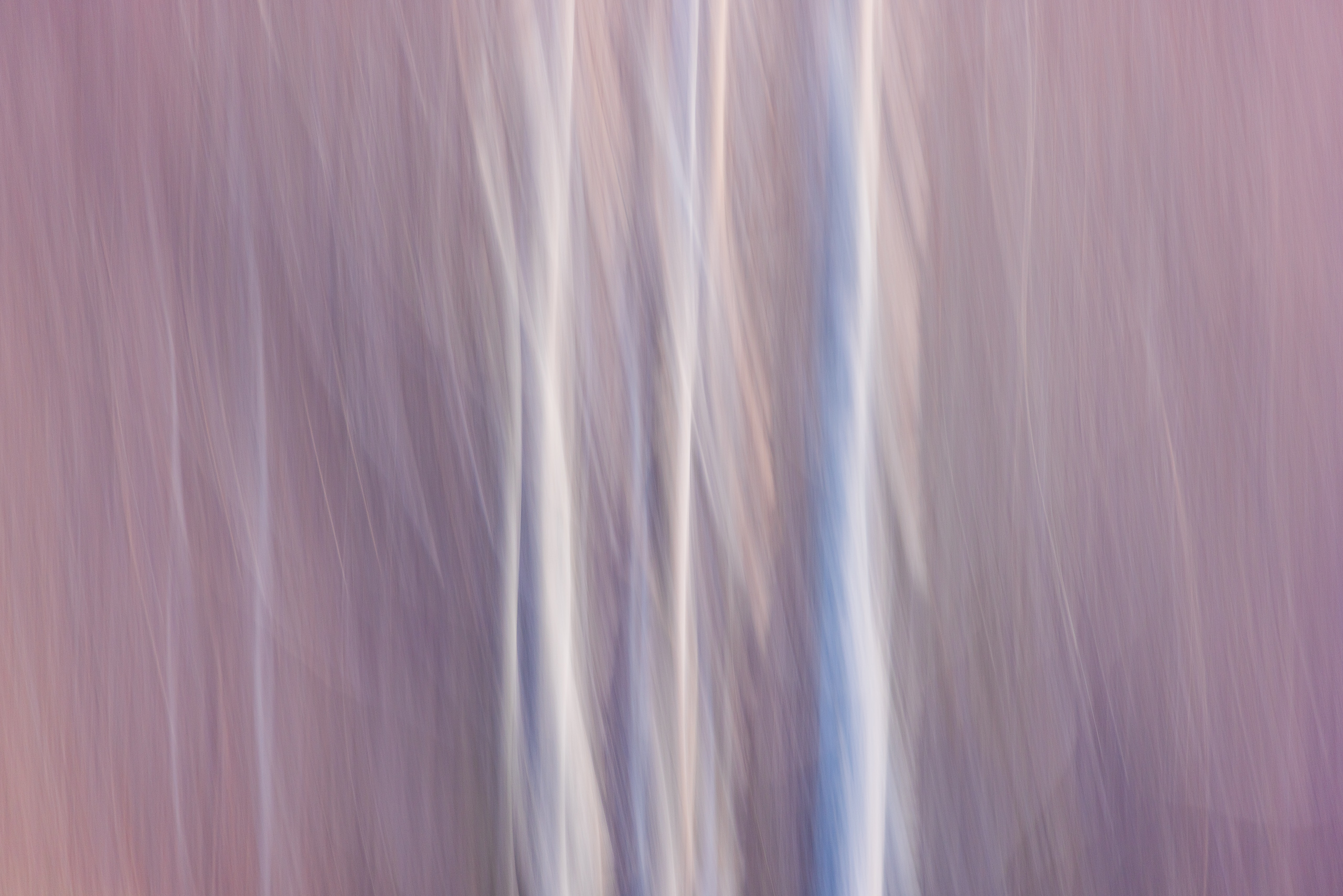 17393129112025333 ©SimonePaleari