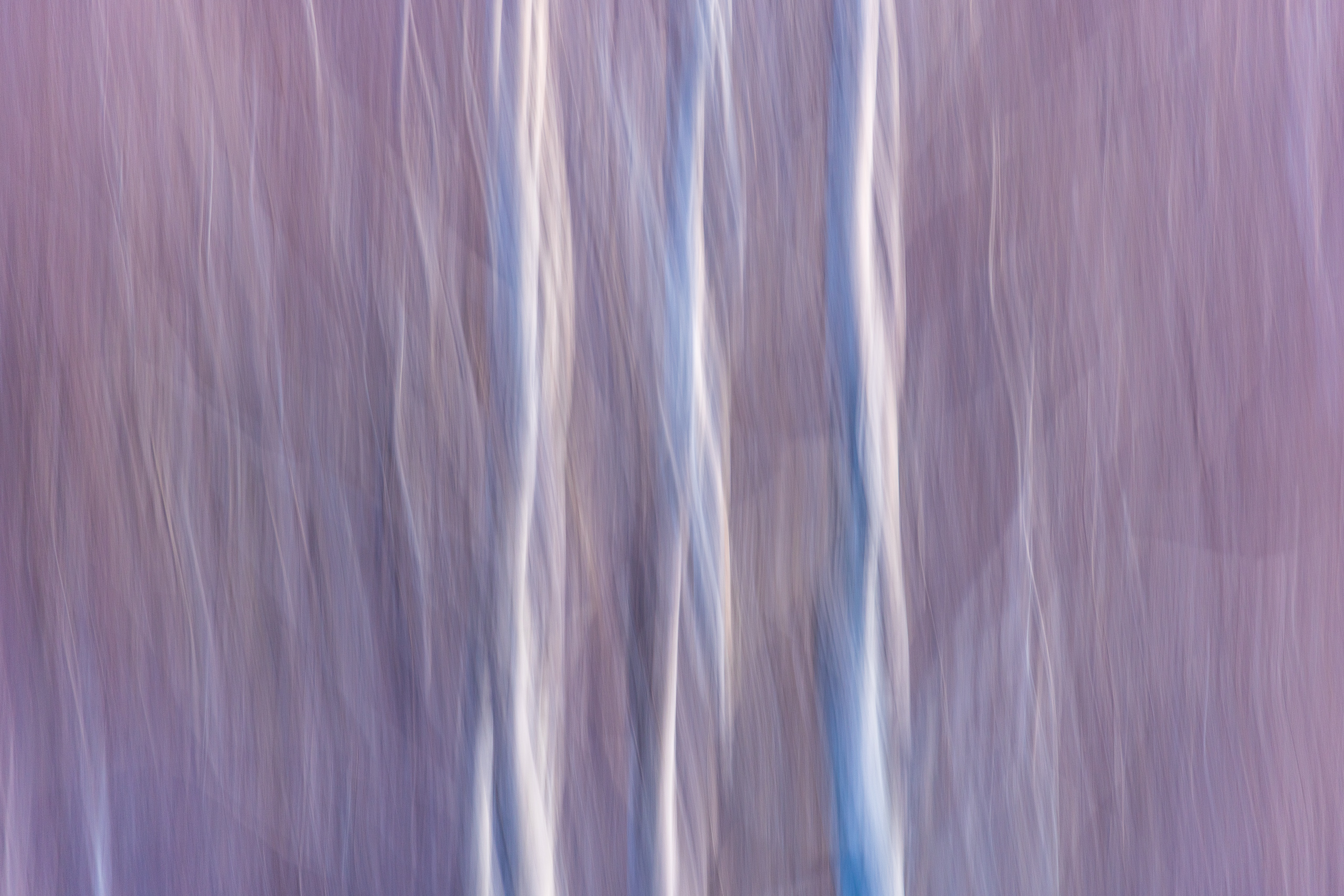 17413429112025333 ©SimonePaleari