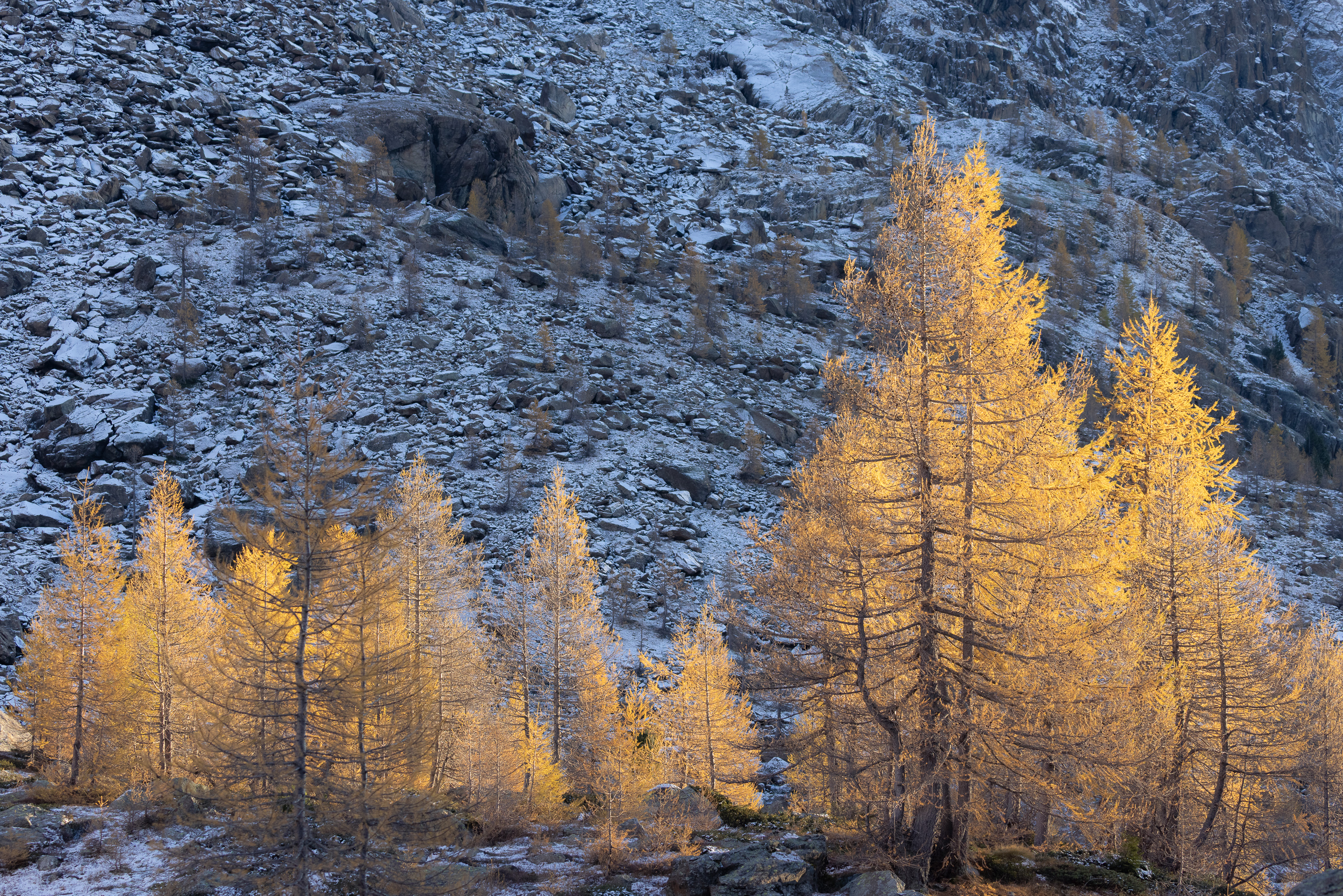 17413726102025299 ©SimonePaleari