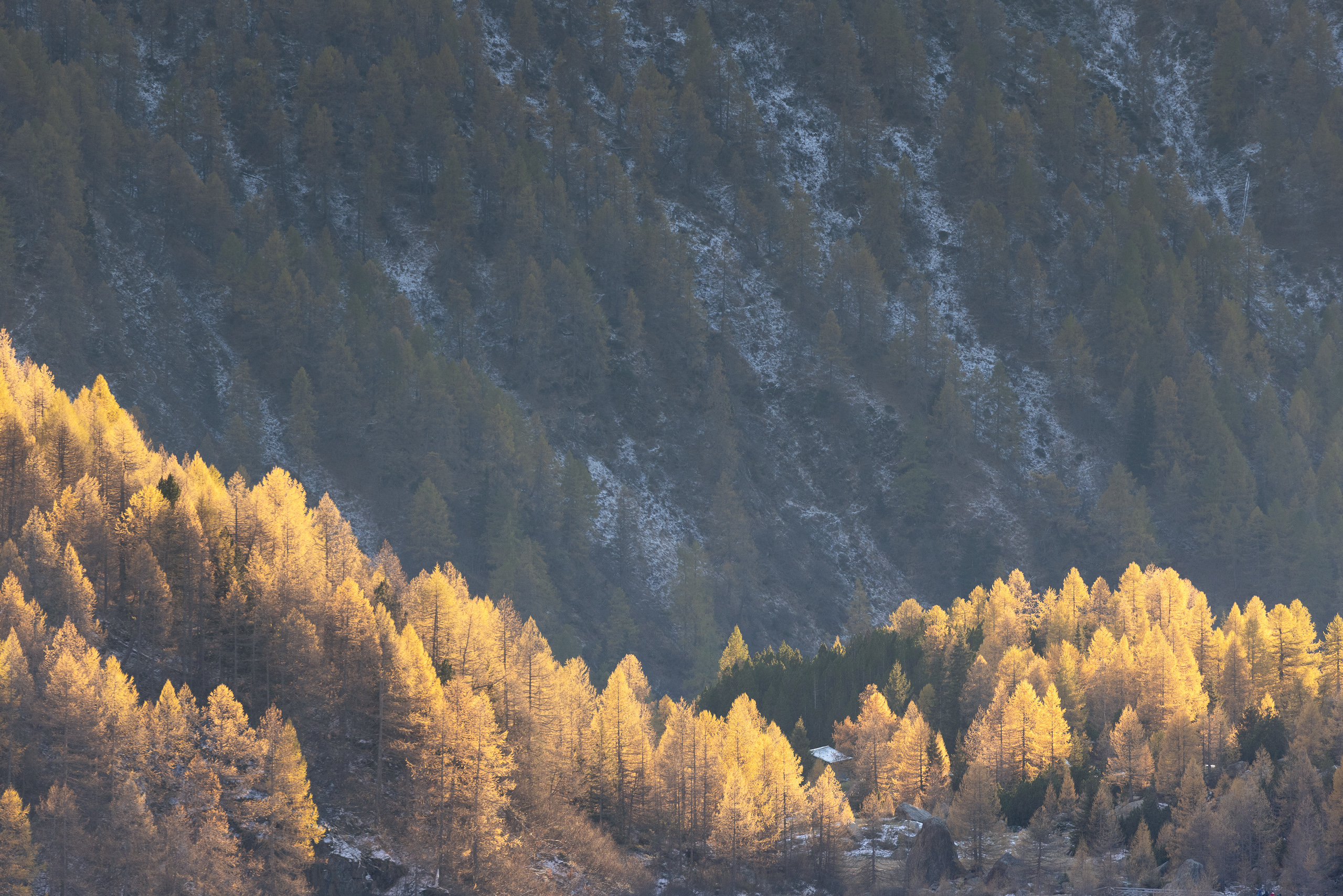 17533926102025299 ©SimonePaleari