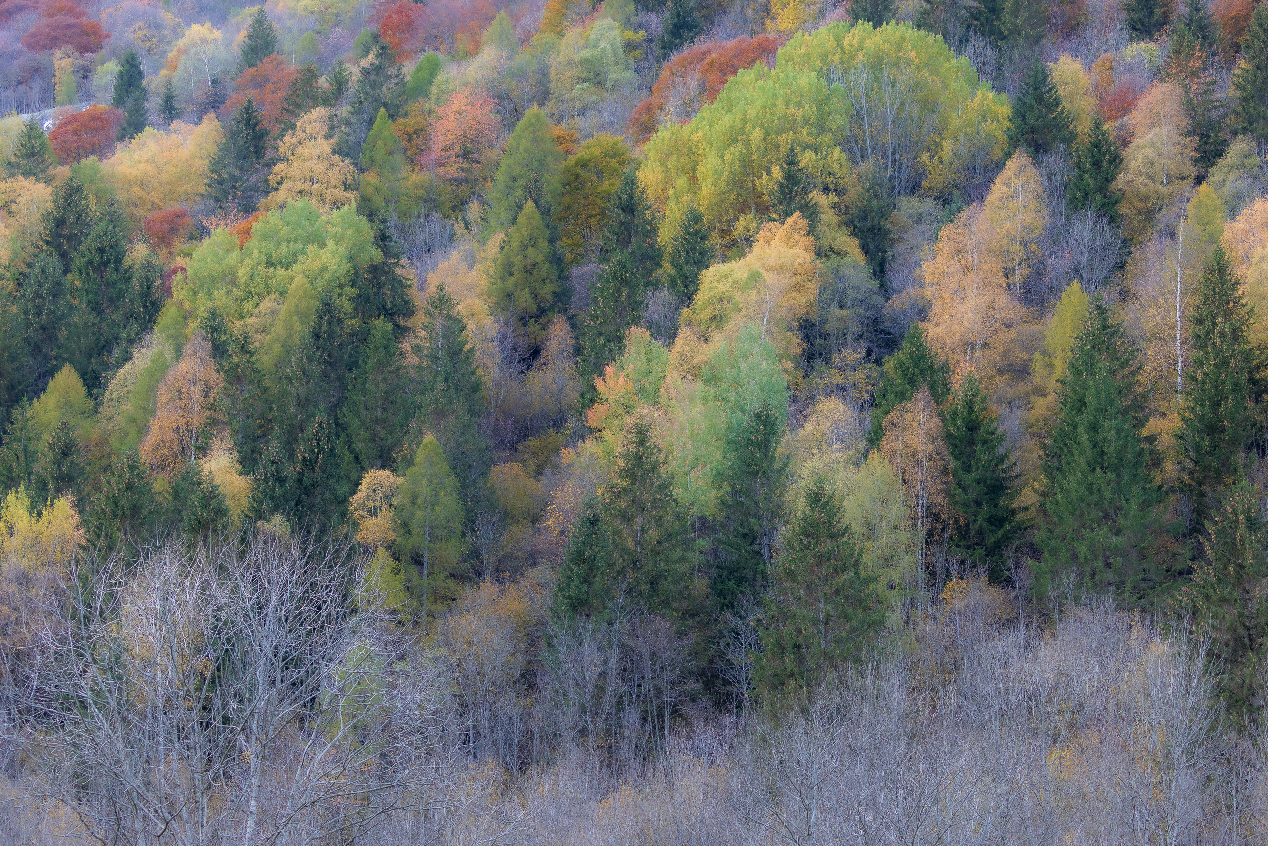 17554127102022300 ©SimonePaleari