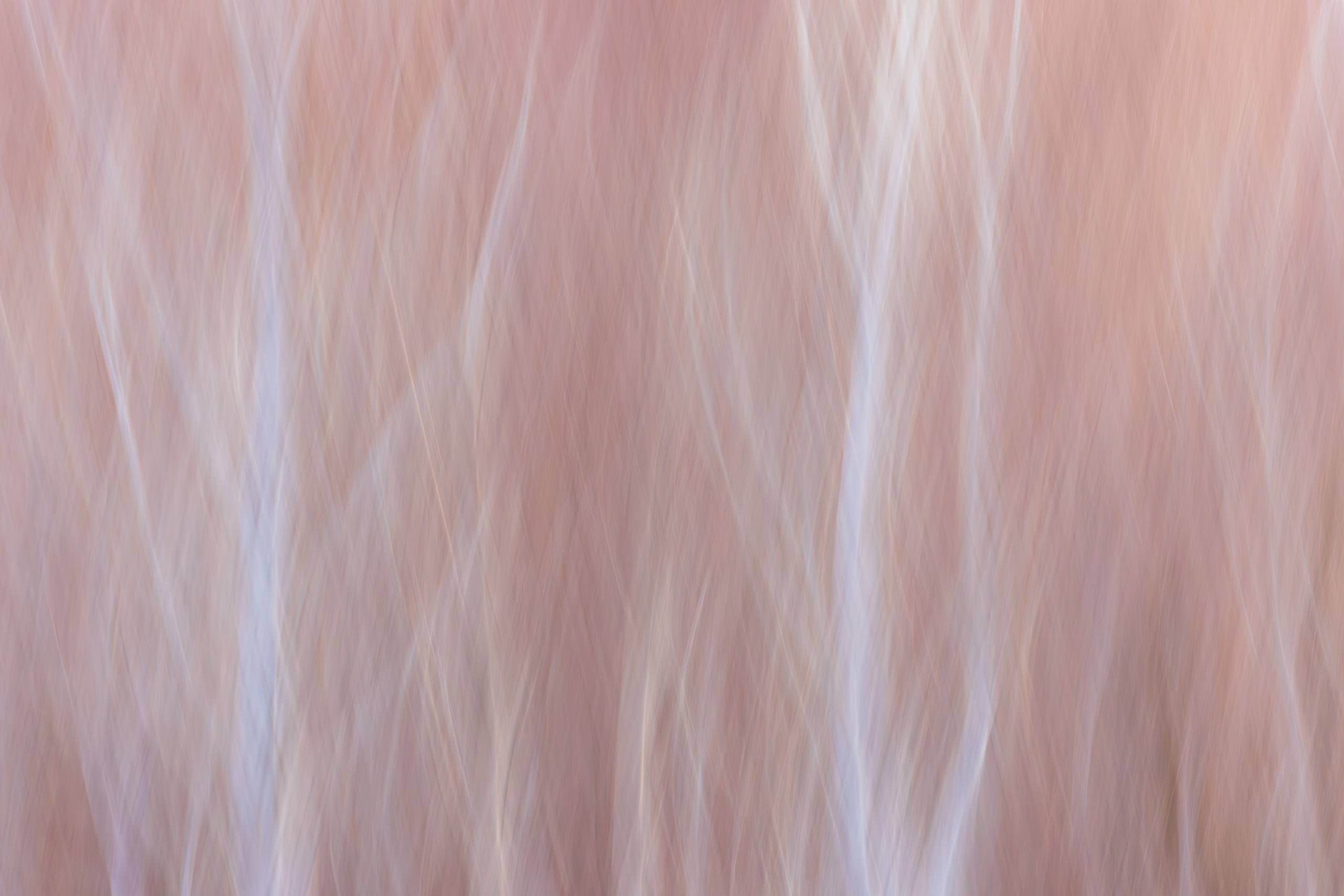 17560829112025333 ©SimonePaleari