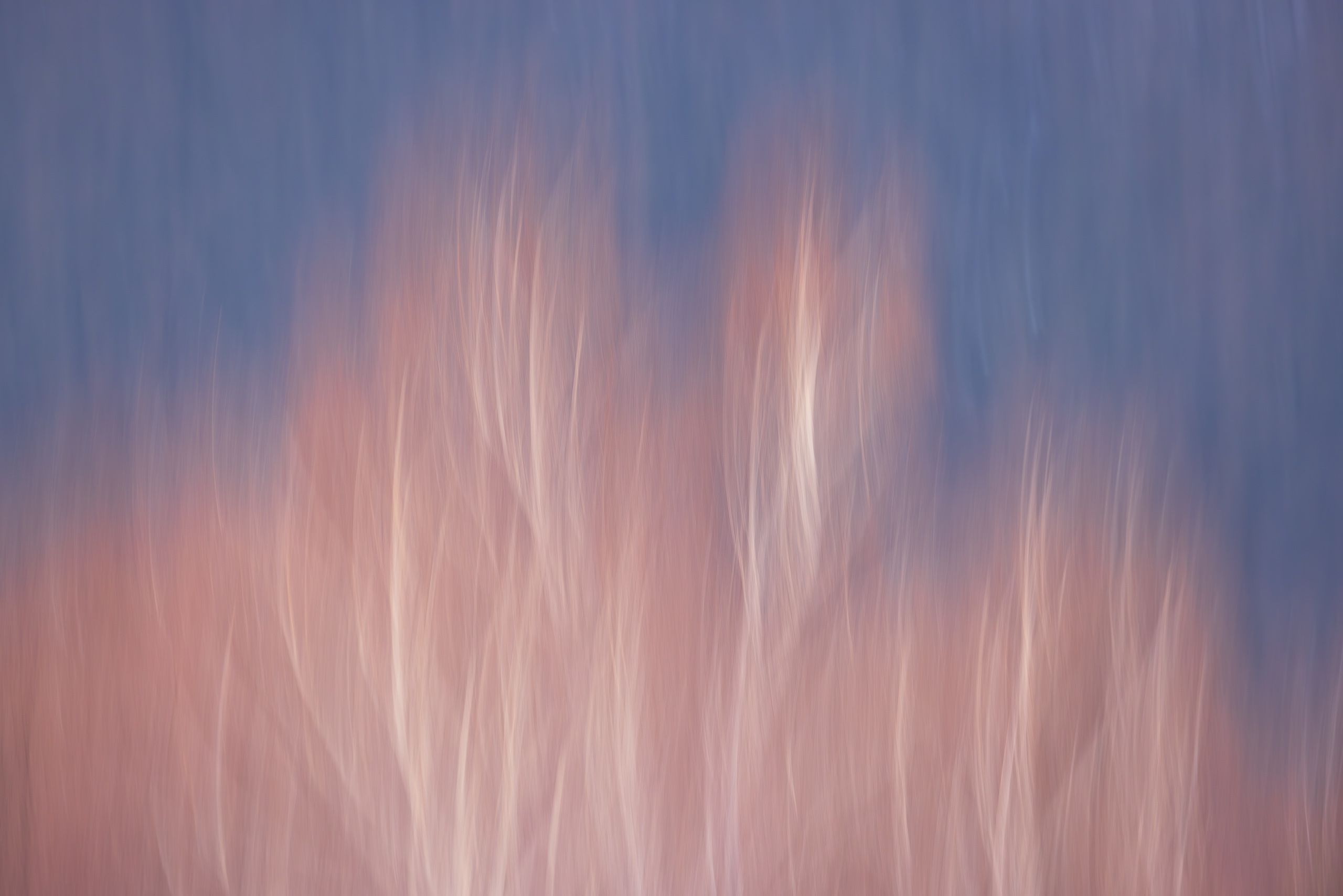 17570422112025326 ©SimonePaleari