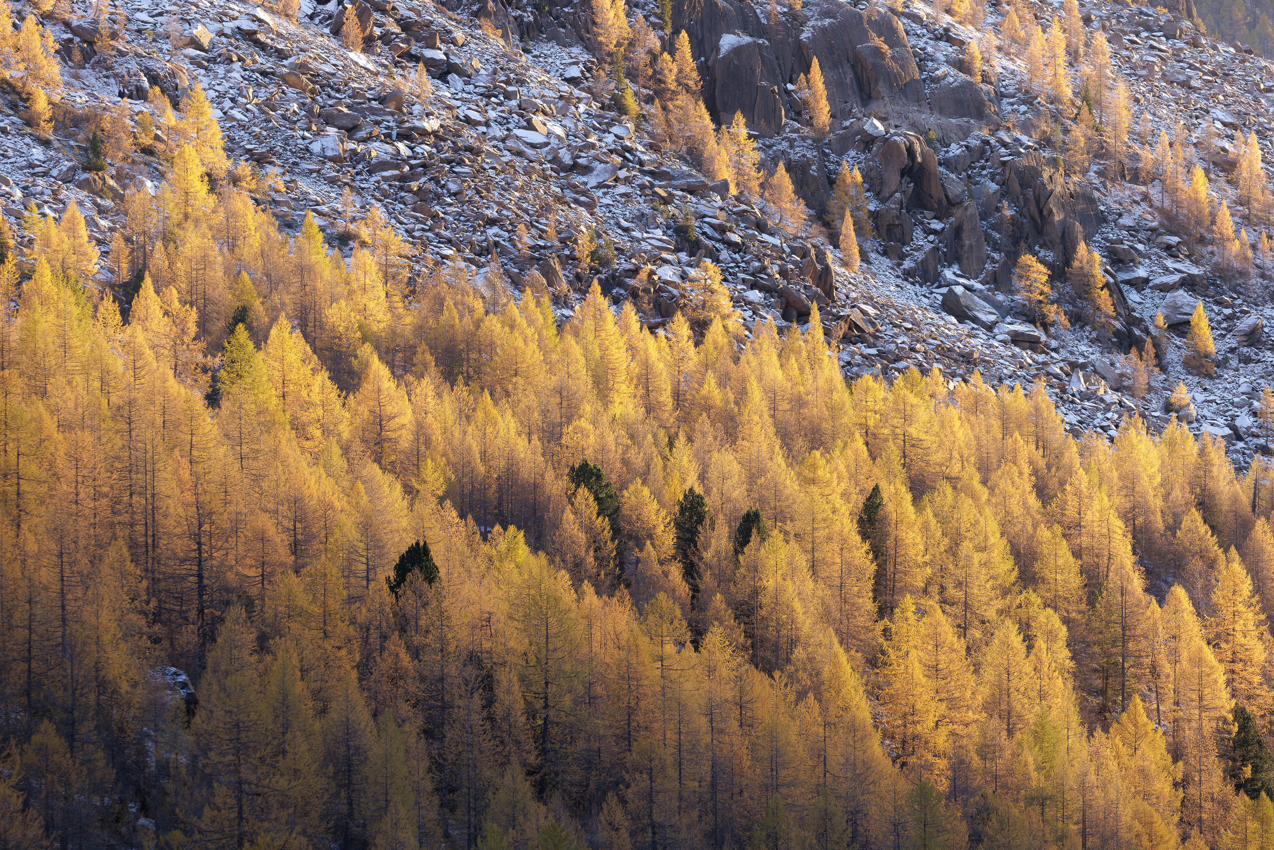 17571726102025299 ©SimonePaleari