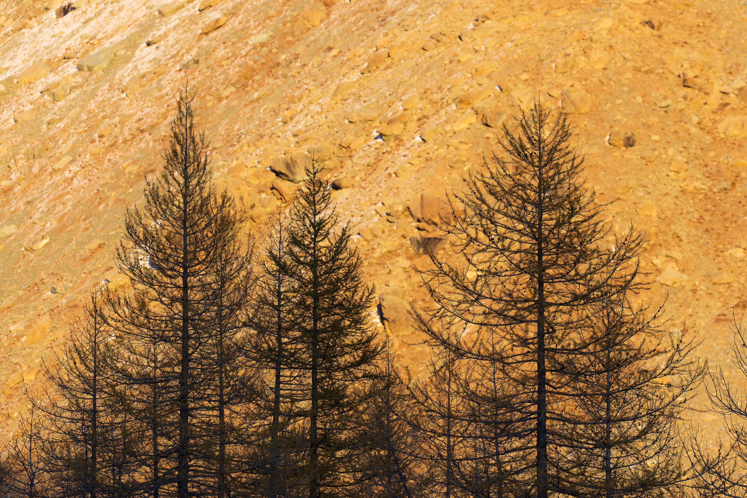 17573426102025299 ©SimonePaleari