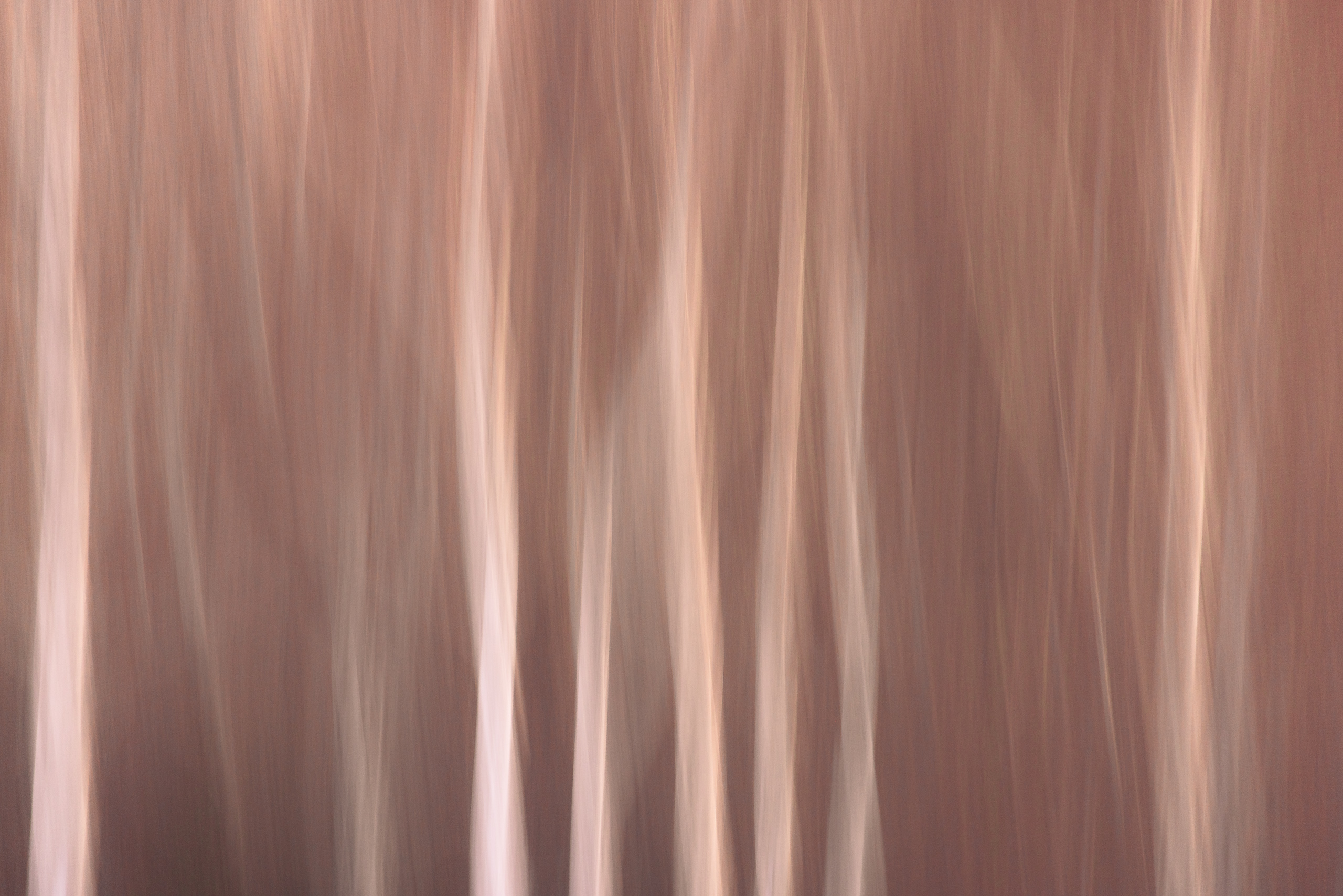 17574722112025326 ©SimonePaleari