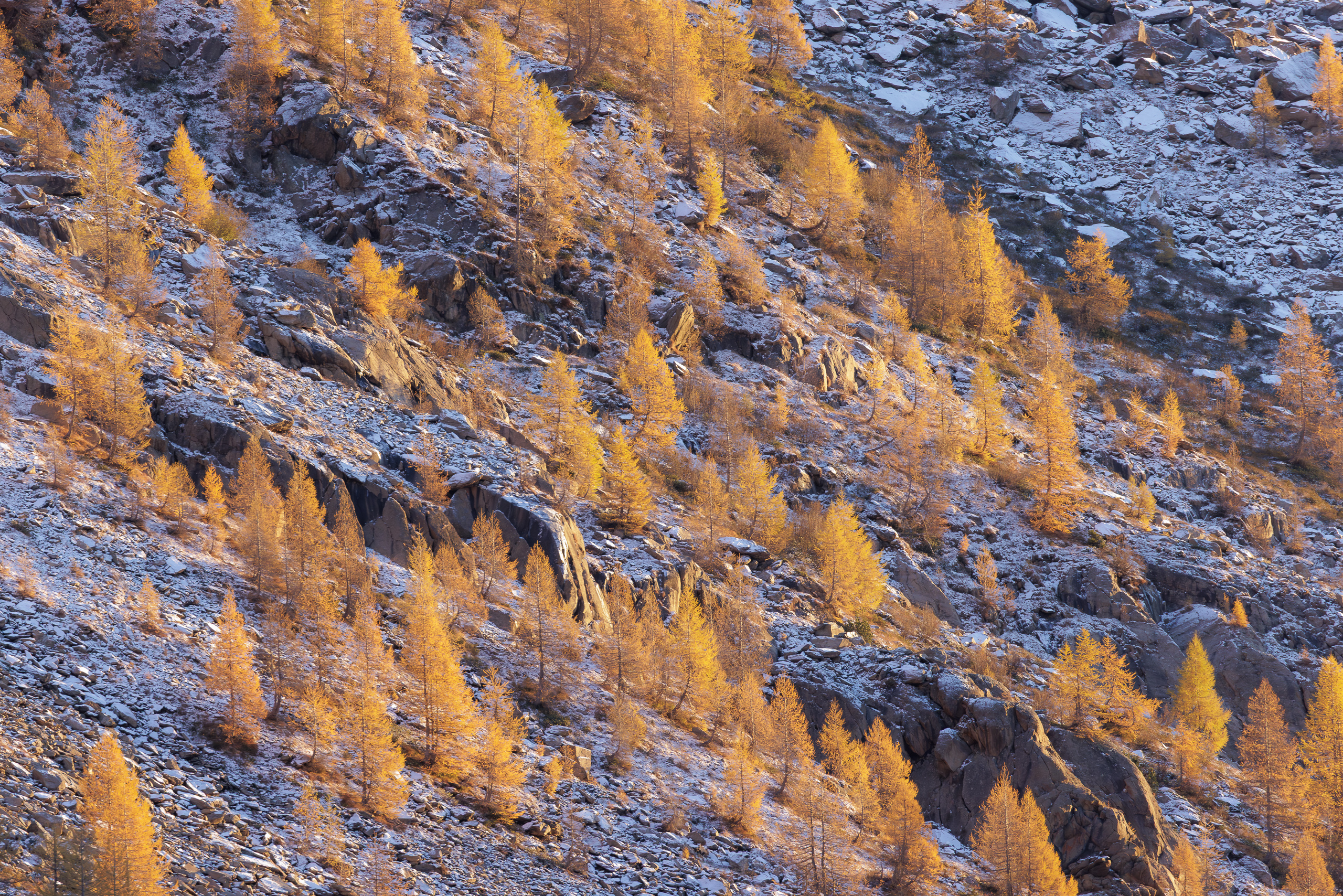 18002026102025299 ©SimonePaleari