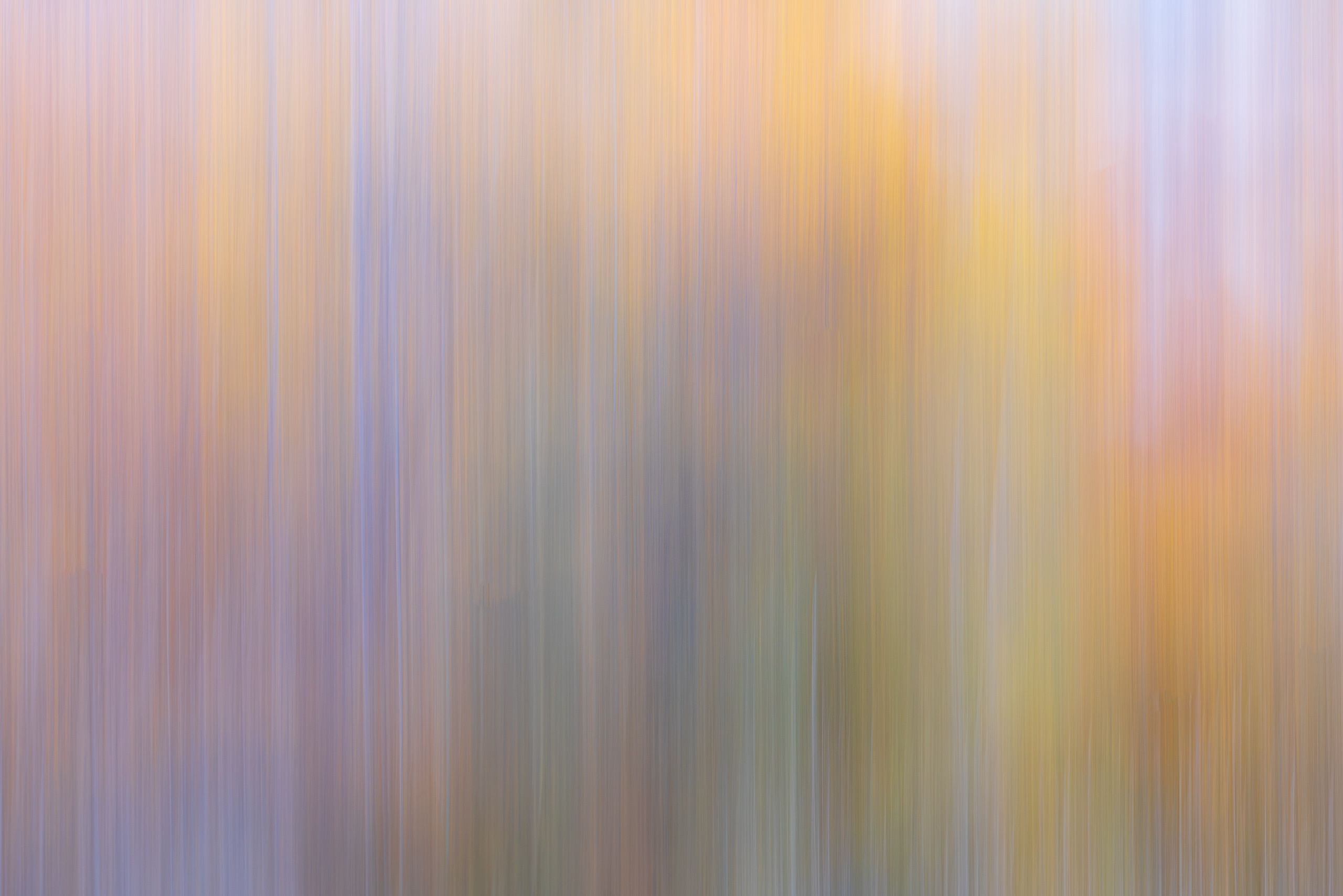 18052325102025298 ©SimonePaleari