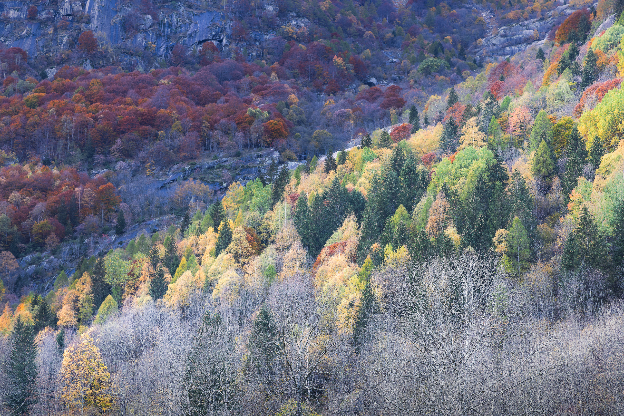 18055027102022300 ©SimonePaleari