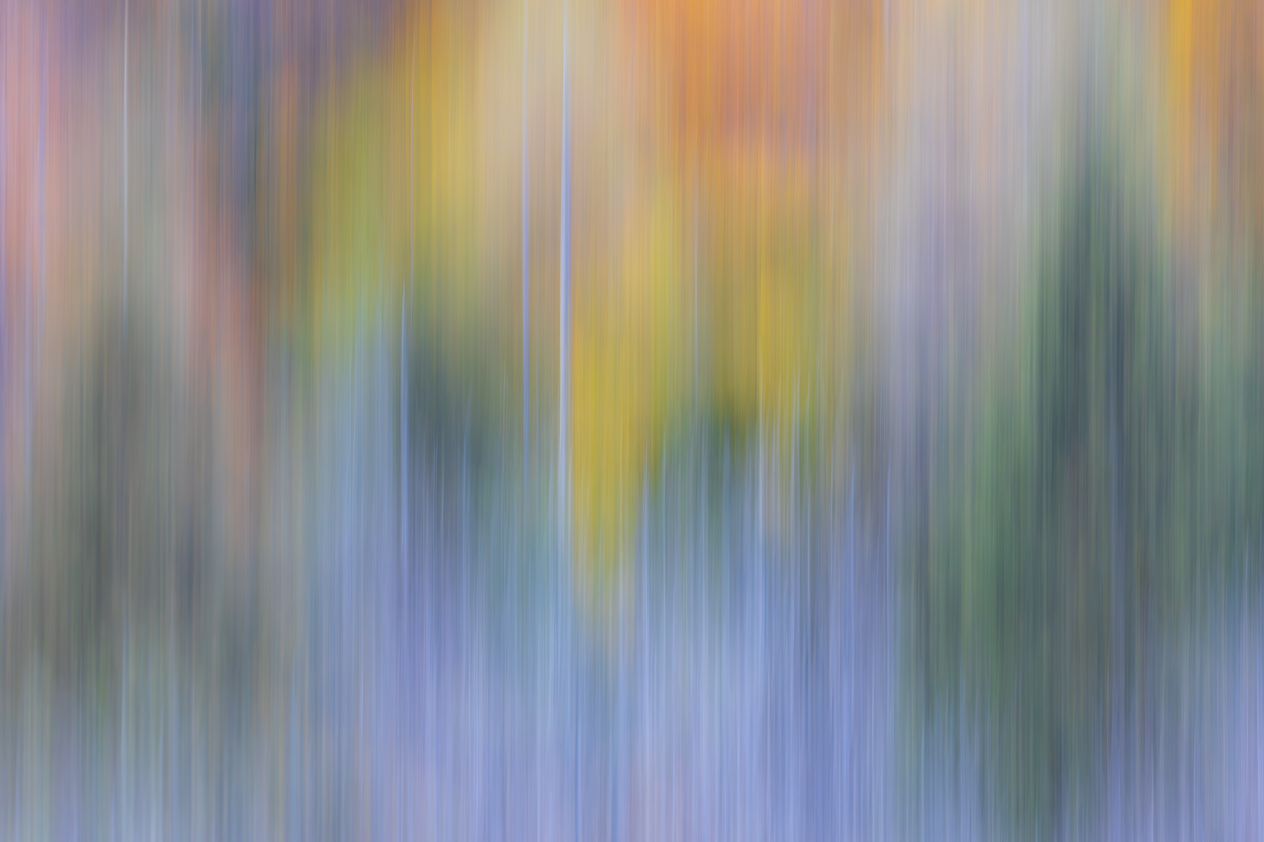 18055225102025298 ©SimonePaleari